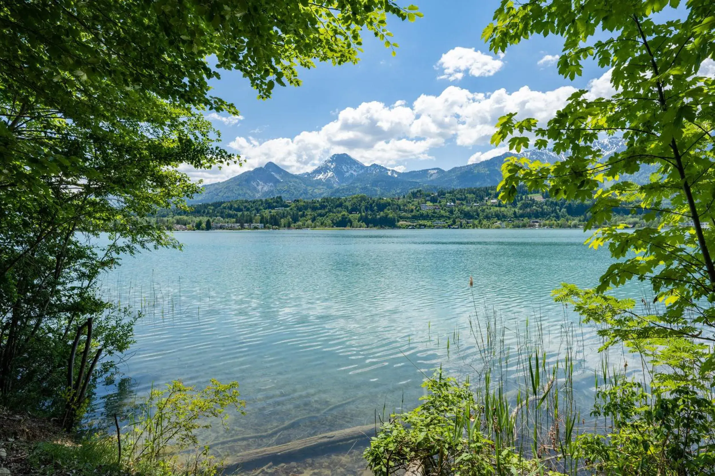 Natural Landscape in Inselhotel Faakersee