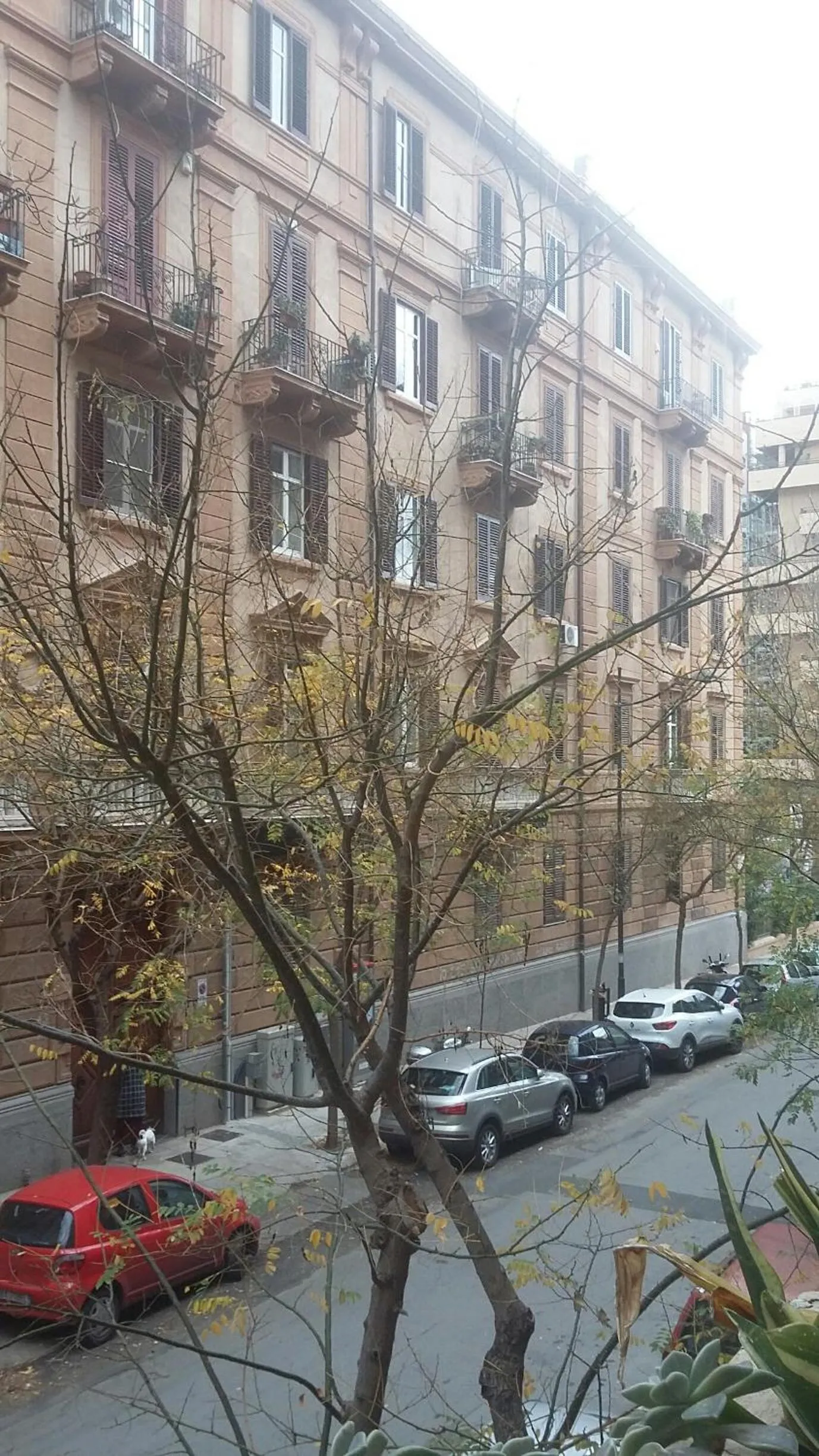 Property building in Casa mia