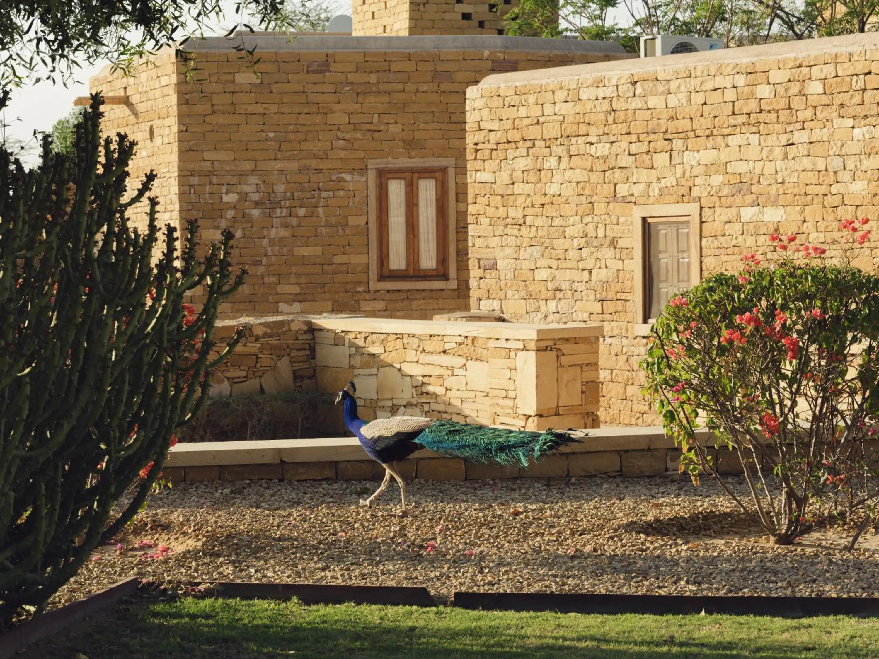 Garden in Suryagarh Jaisalmer