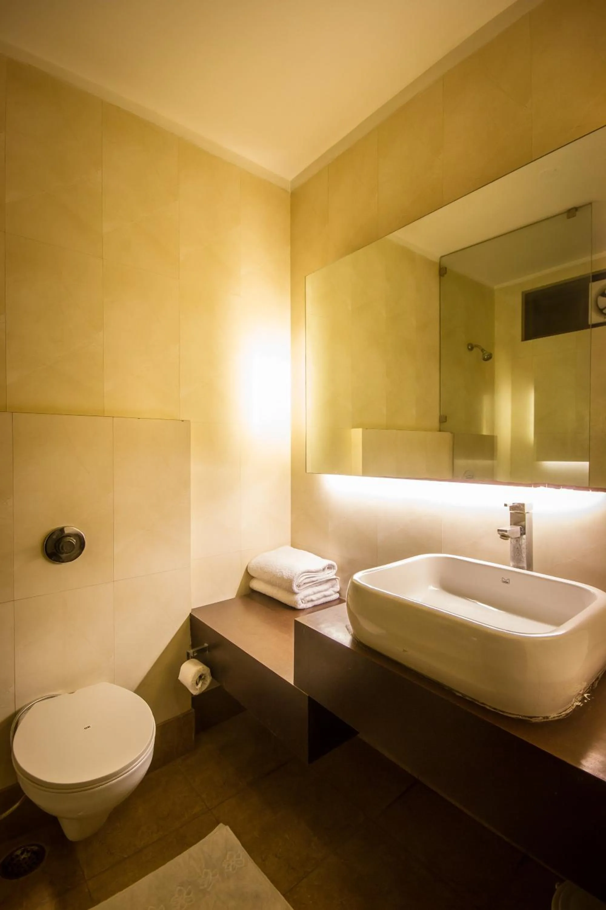 Bathroom in Hotel Good Palace