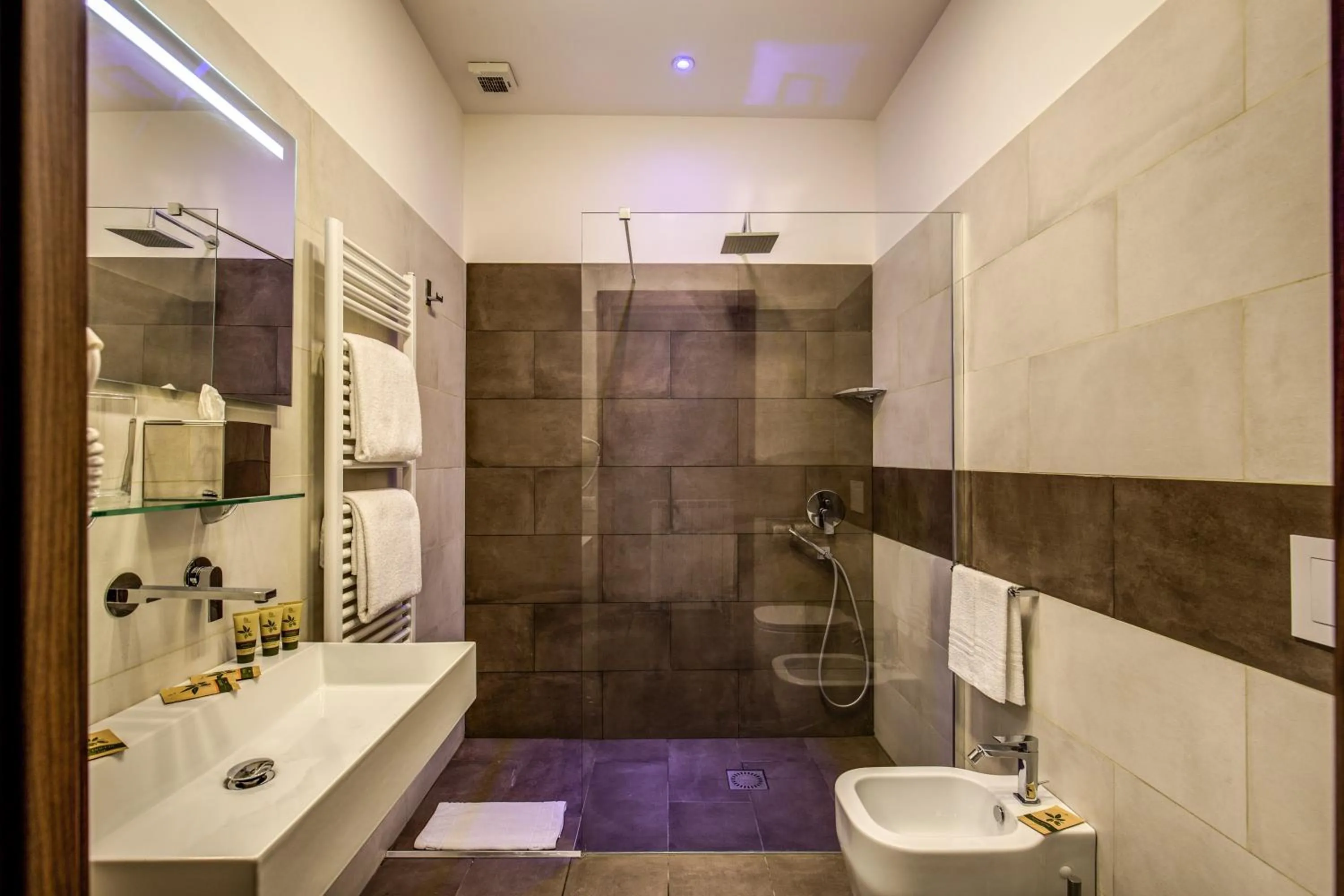 Shower in H501 Luxury Rooms