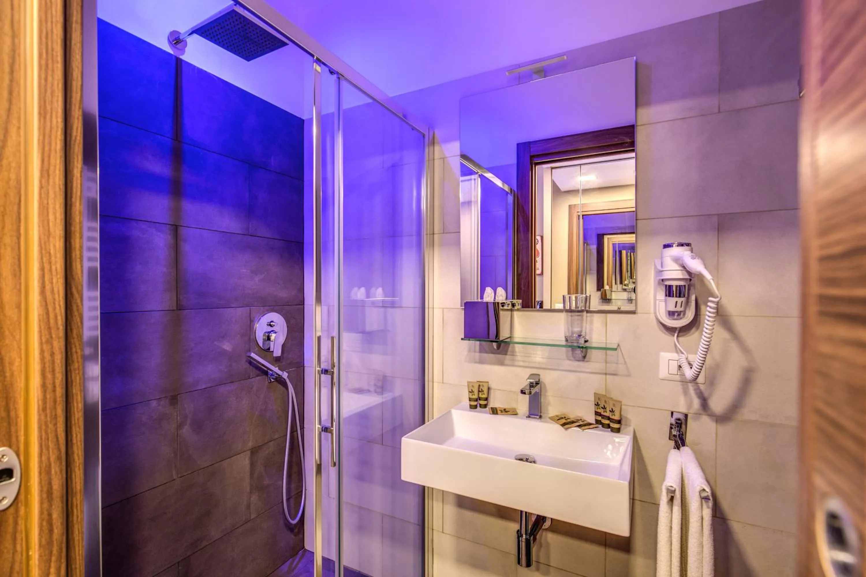 Shower in H501 Luxury Rooms