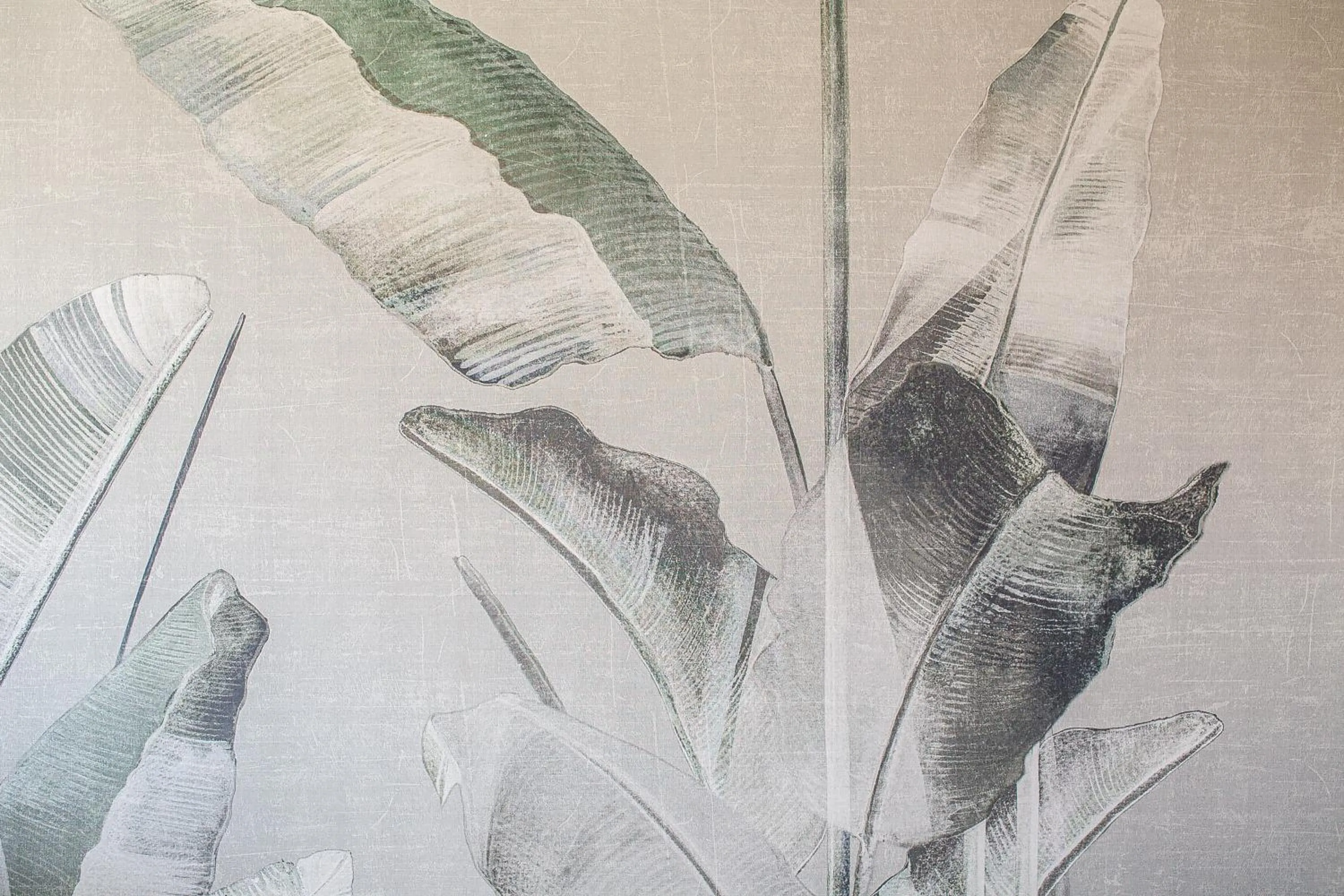 Property building in Hotel Jasminum