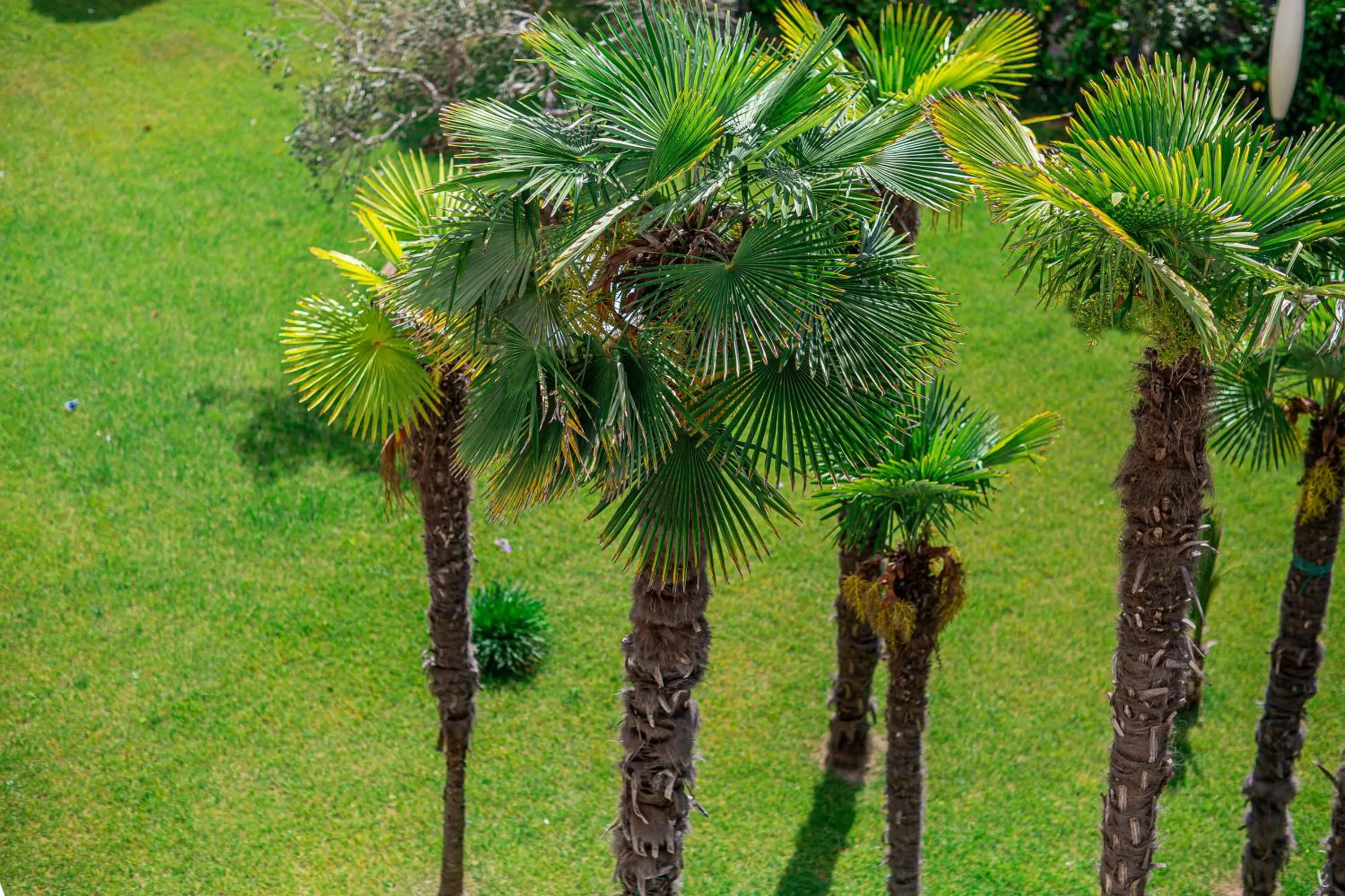 Property building in Hotel Jasminum