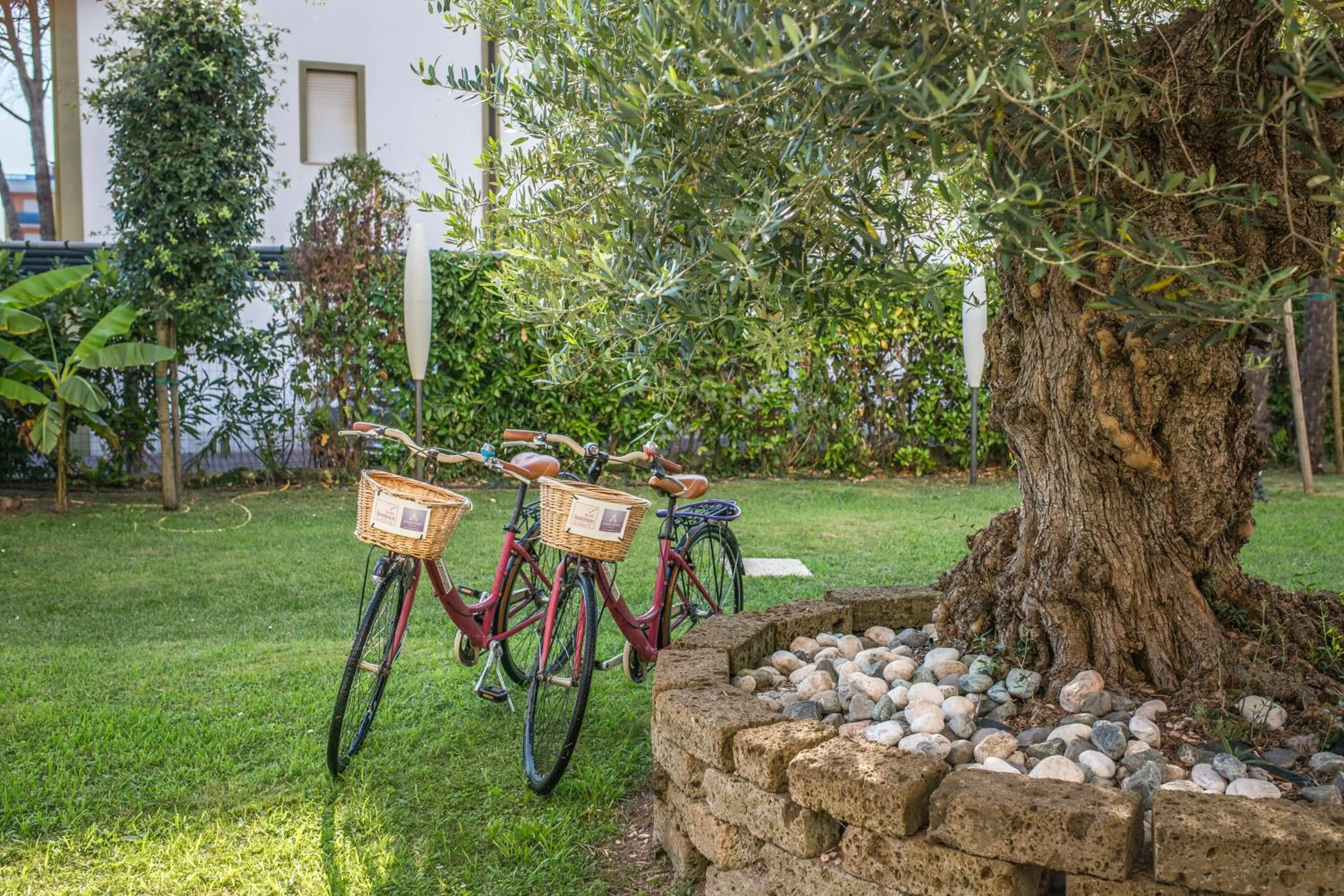 Cycling in Hotel Jasminum