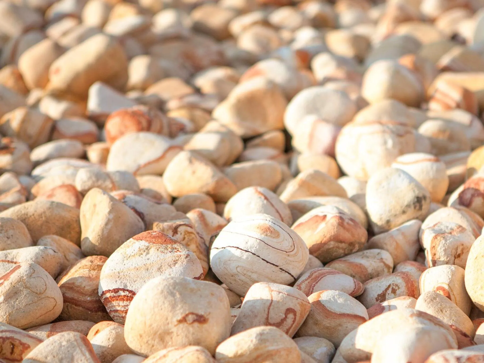 Decorative detail in Cabo Verde Hotel