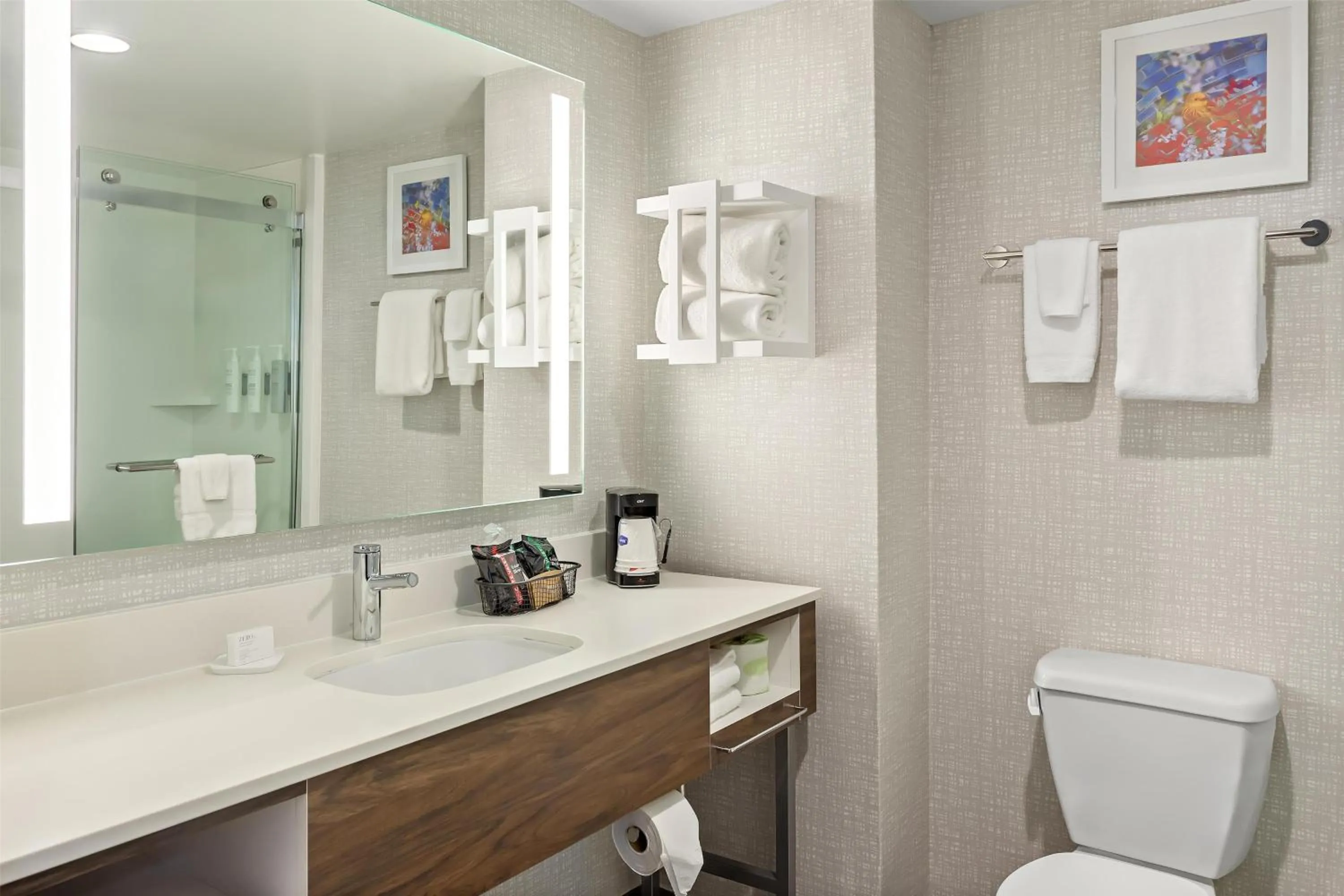 Bathroom in Hampton Inn & Suites Bolingbrook