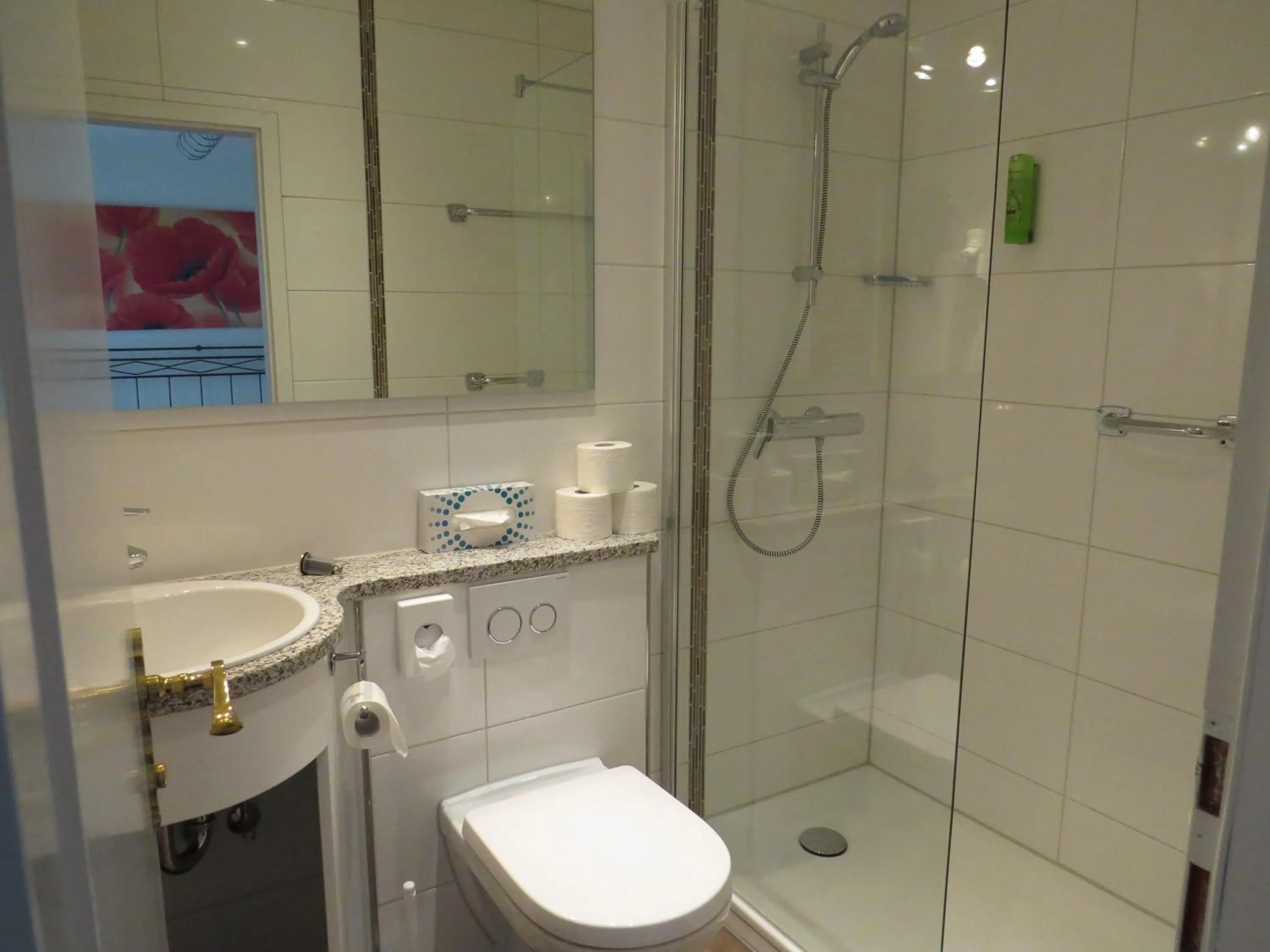 Shower in Hotel & Restaurant Mainaublick