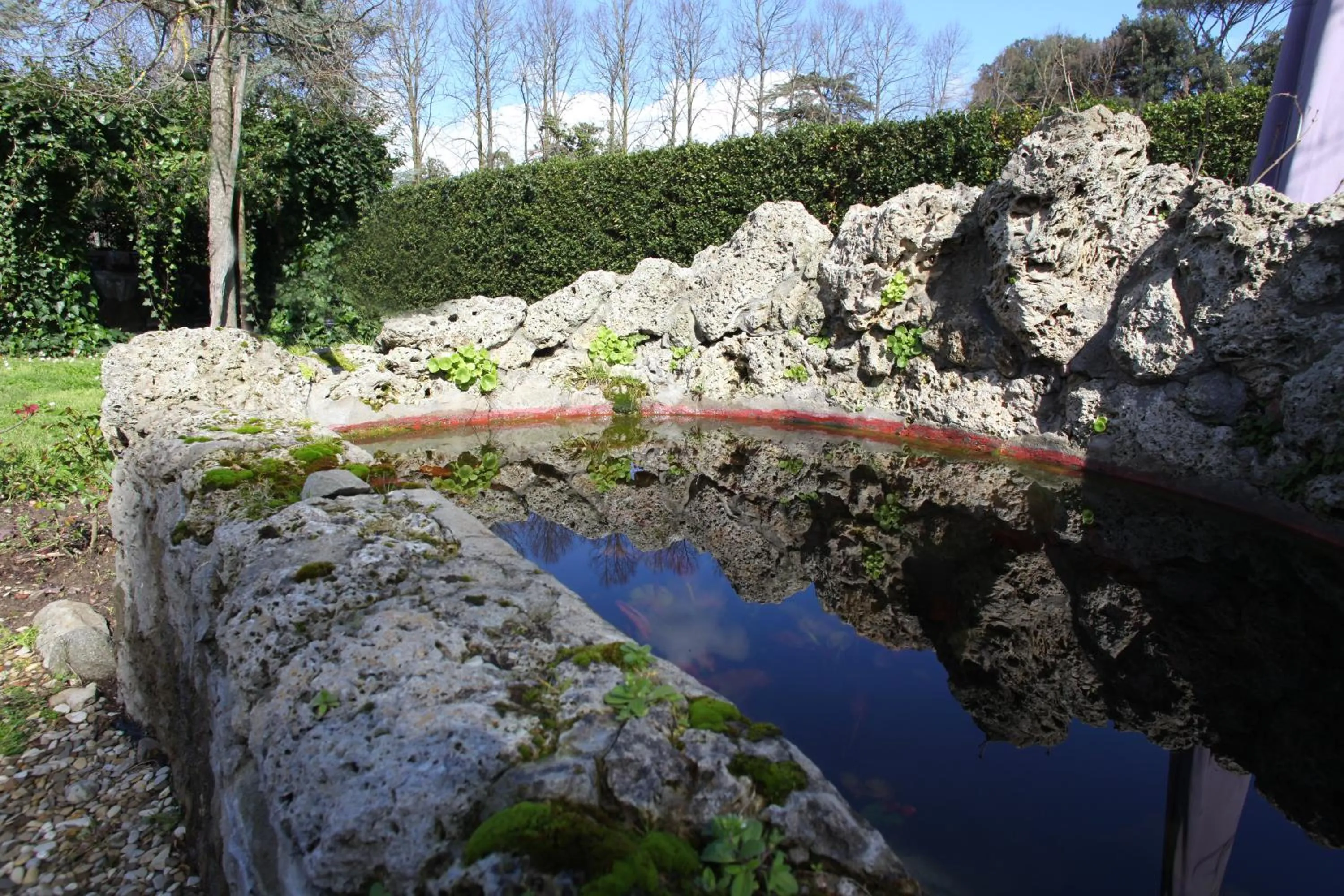 Garden in Rovezzano B&B