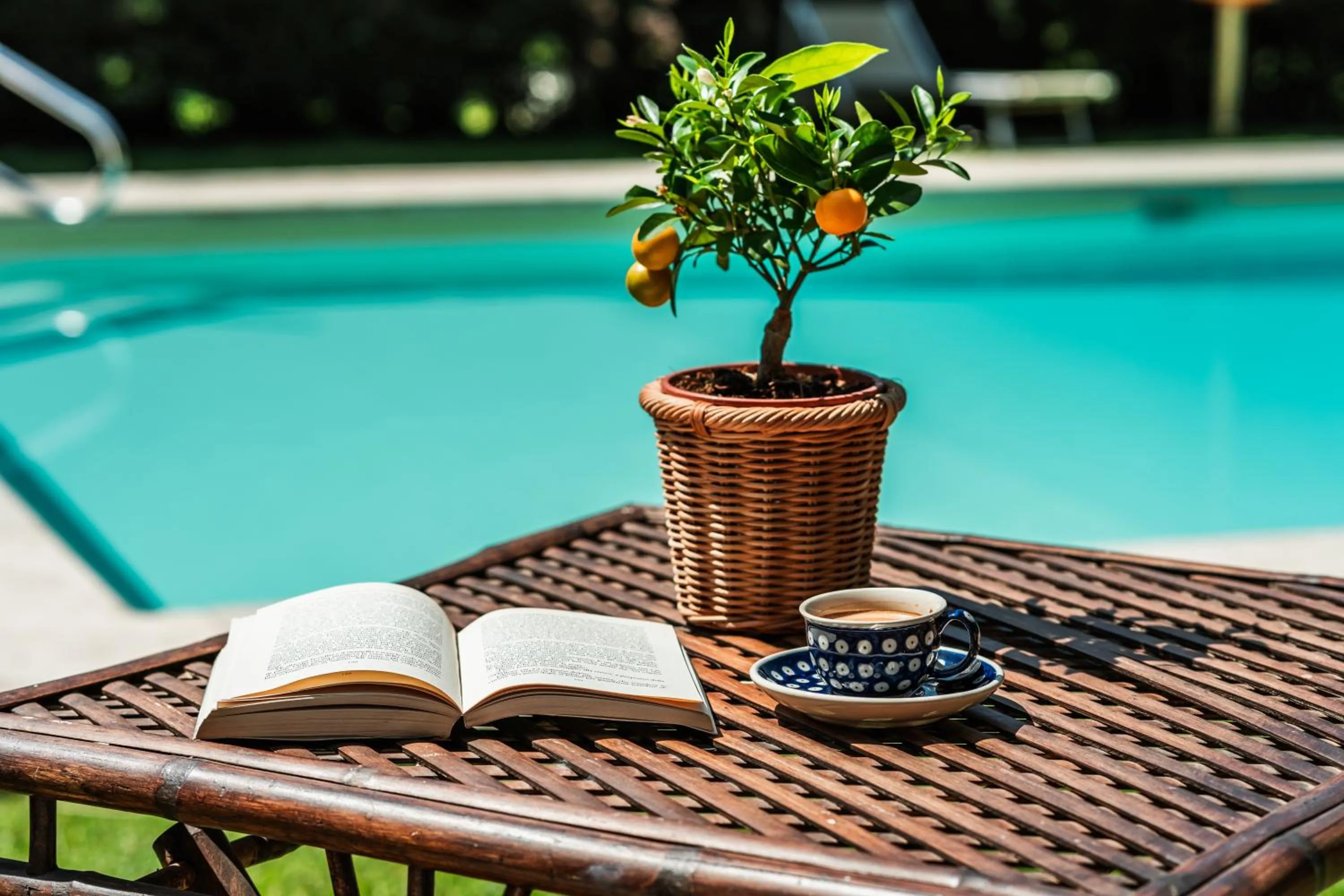 Swimming pool in Rovezzano B&B