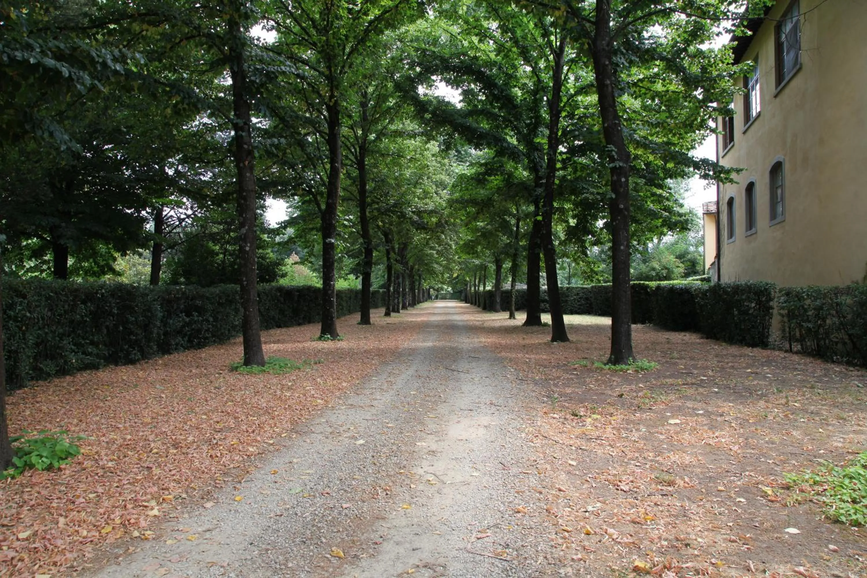 Garden in Rovezzano B&B