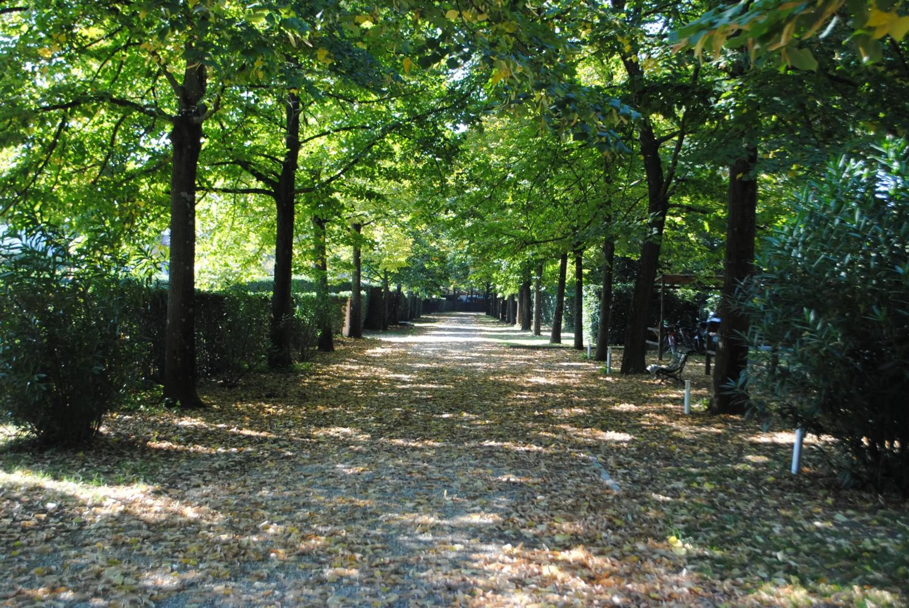 Facade/entrance in Rovezzano B&B
