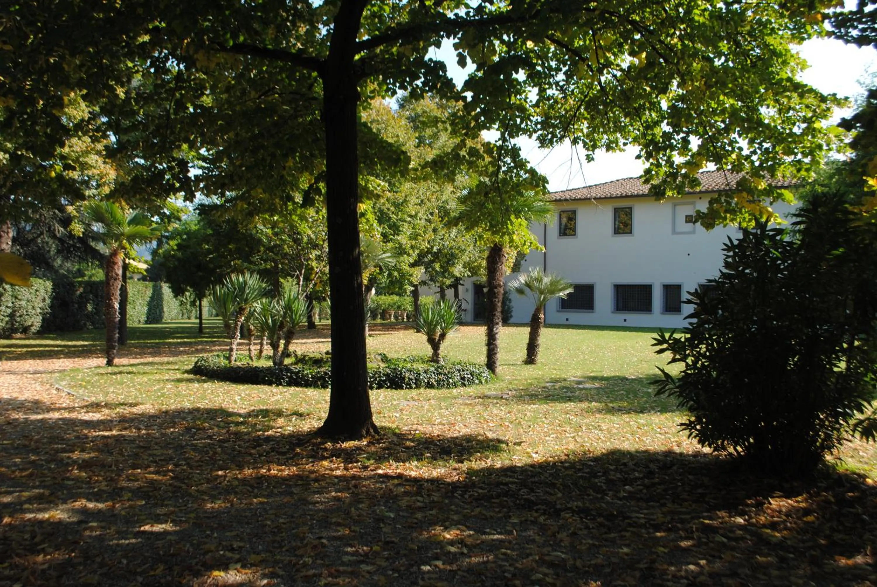 Property building in Rovezzano B&B