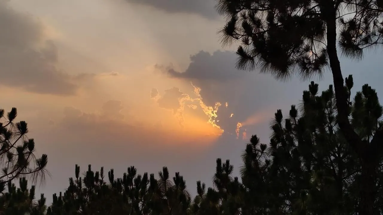 Property building in 7 Pines Kasauli