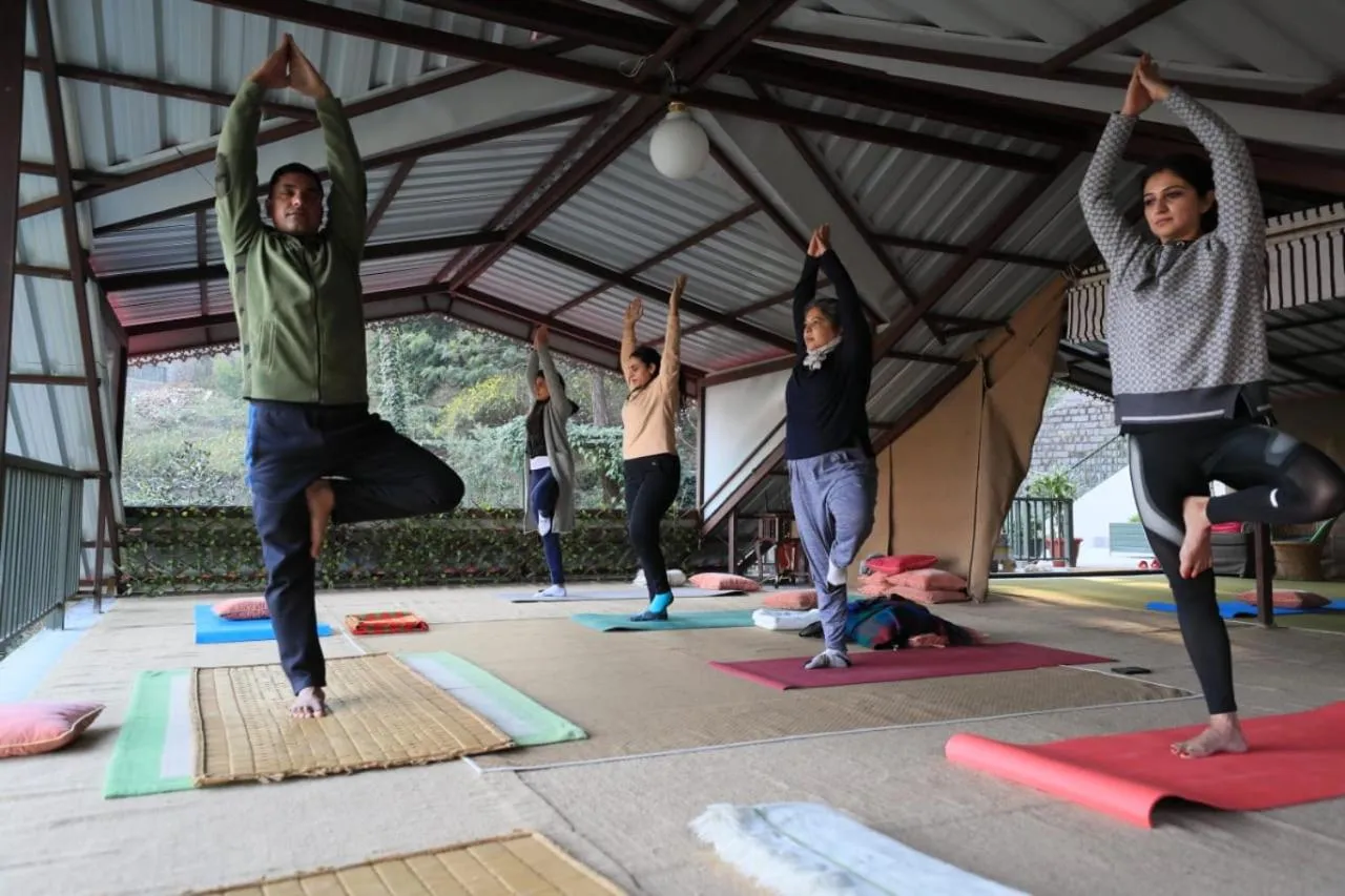 Activities in 7 Pines Kasauli