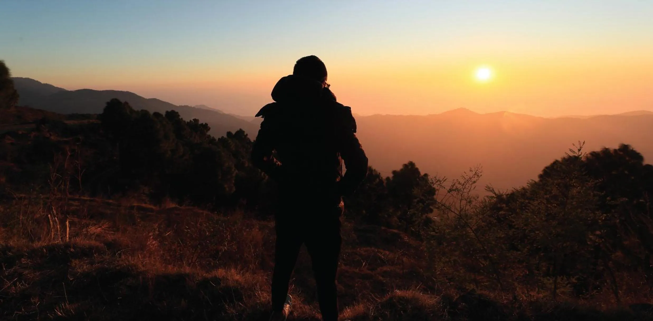 Property building in 7 Pines Kasauli