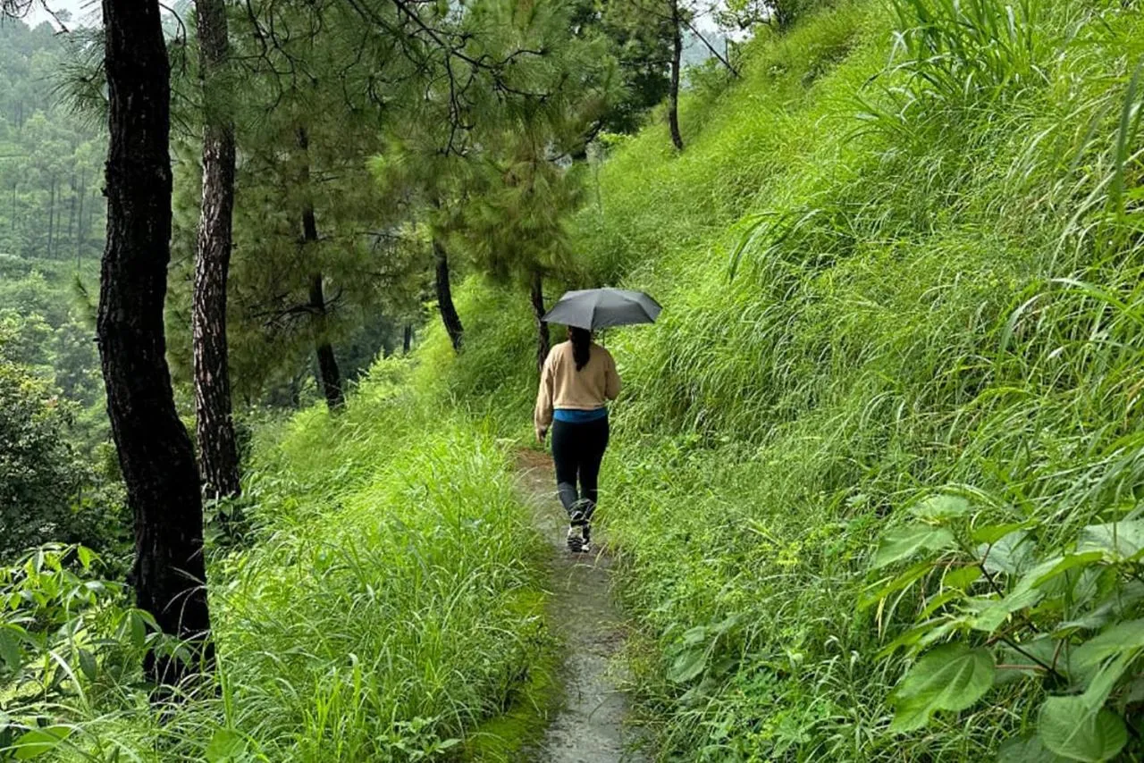 Activities in 7 Pines Kasauli