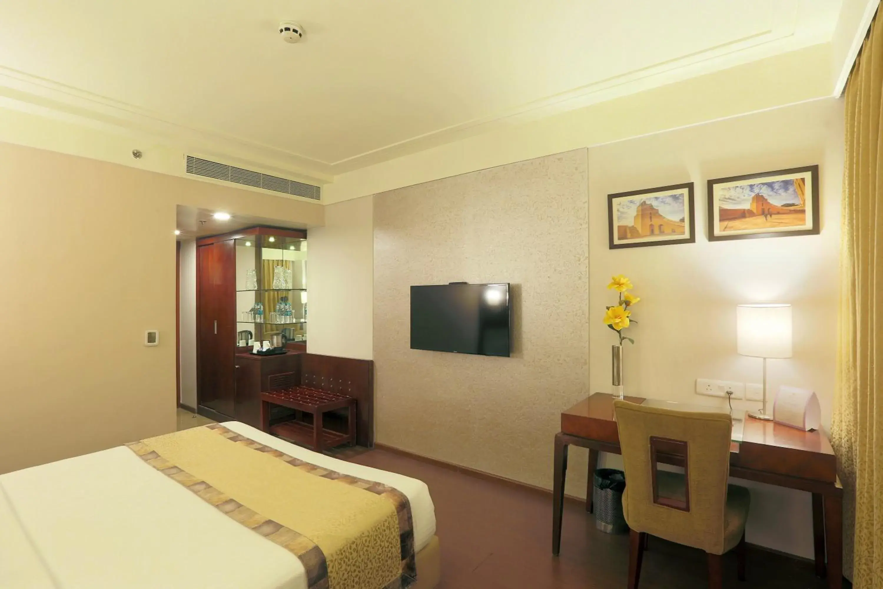 Communal lounge/ TV room, Bed in Vesta International Communal lounge/ TV room, Bed in Vesta International