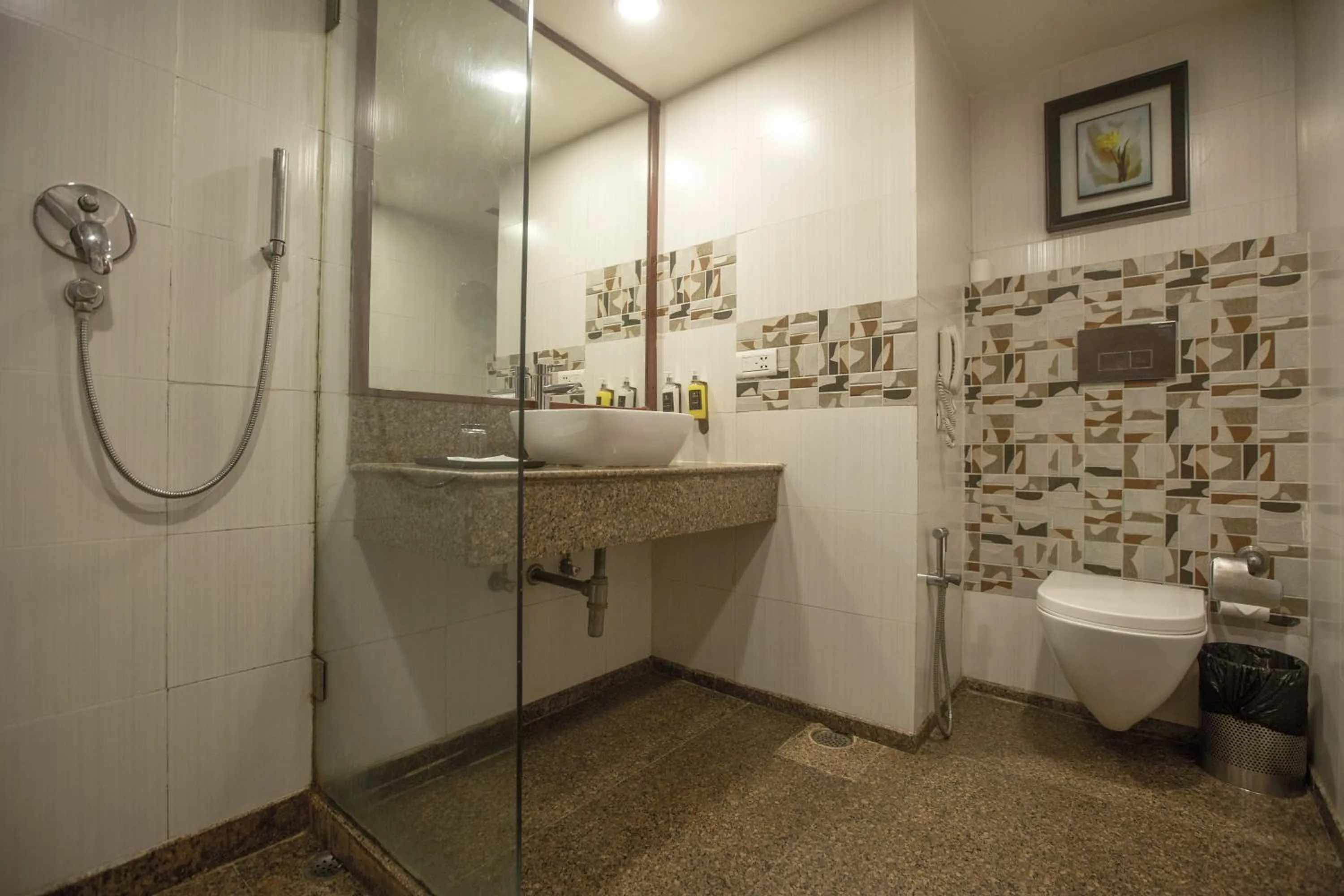 Shower in Vesta International