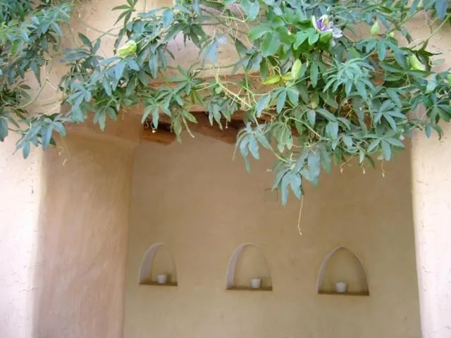 Dar Zahia
