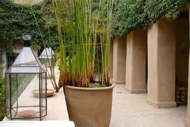 Dar Zahia