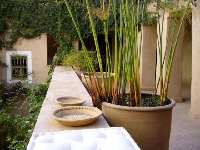 Dar Zahia
