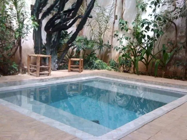 Swimming pool in Dar Zahia