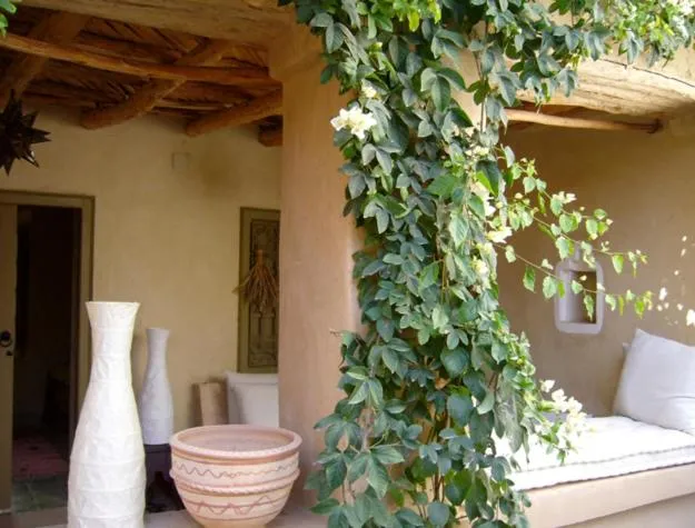 Dar Zahia
