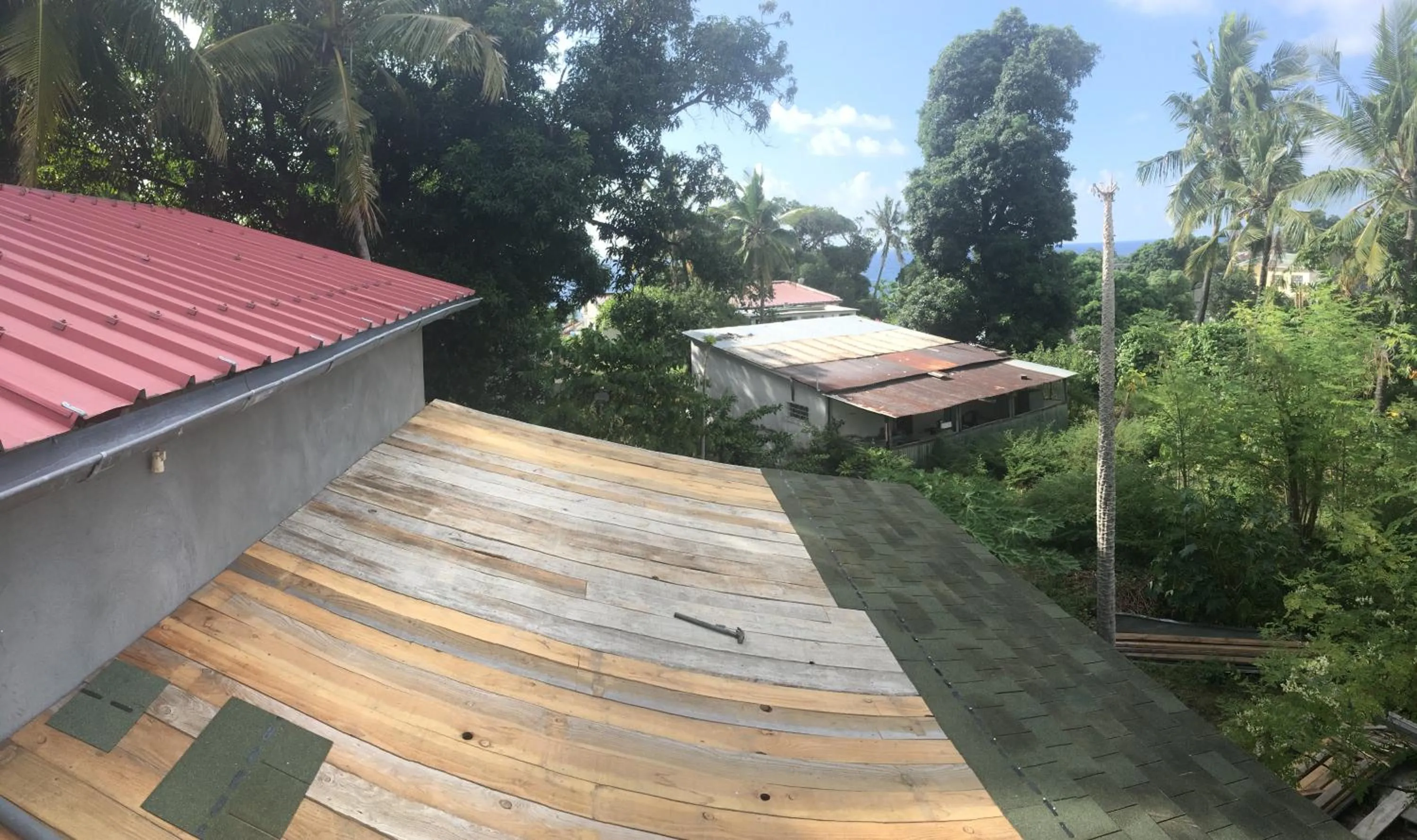 Garden view in Farida Lodge