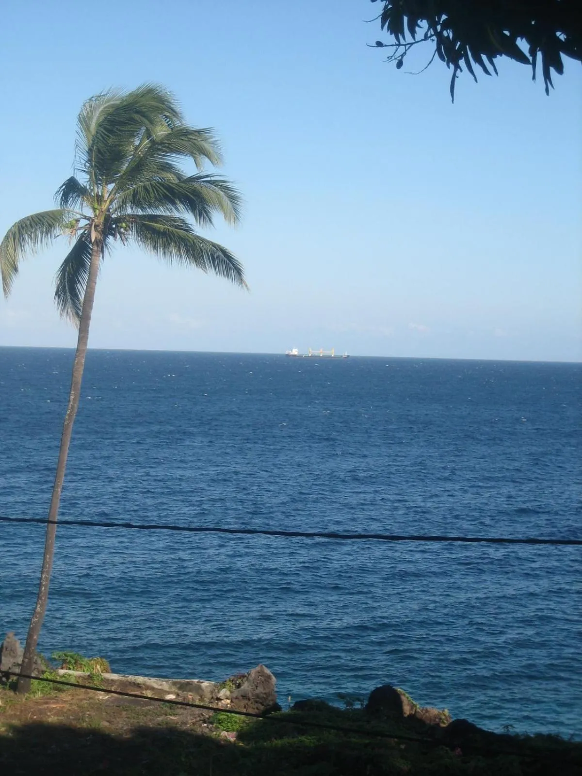 View (from property/room) in Farida Lodge