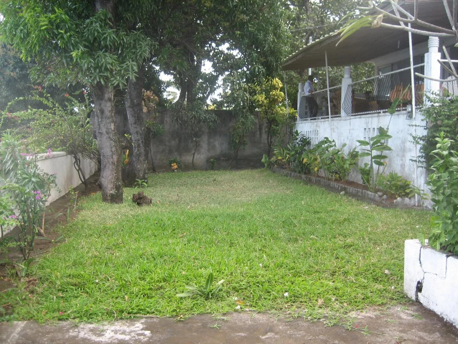 Garden view in Farida Lodge