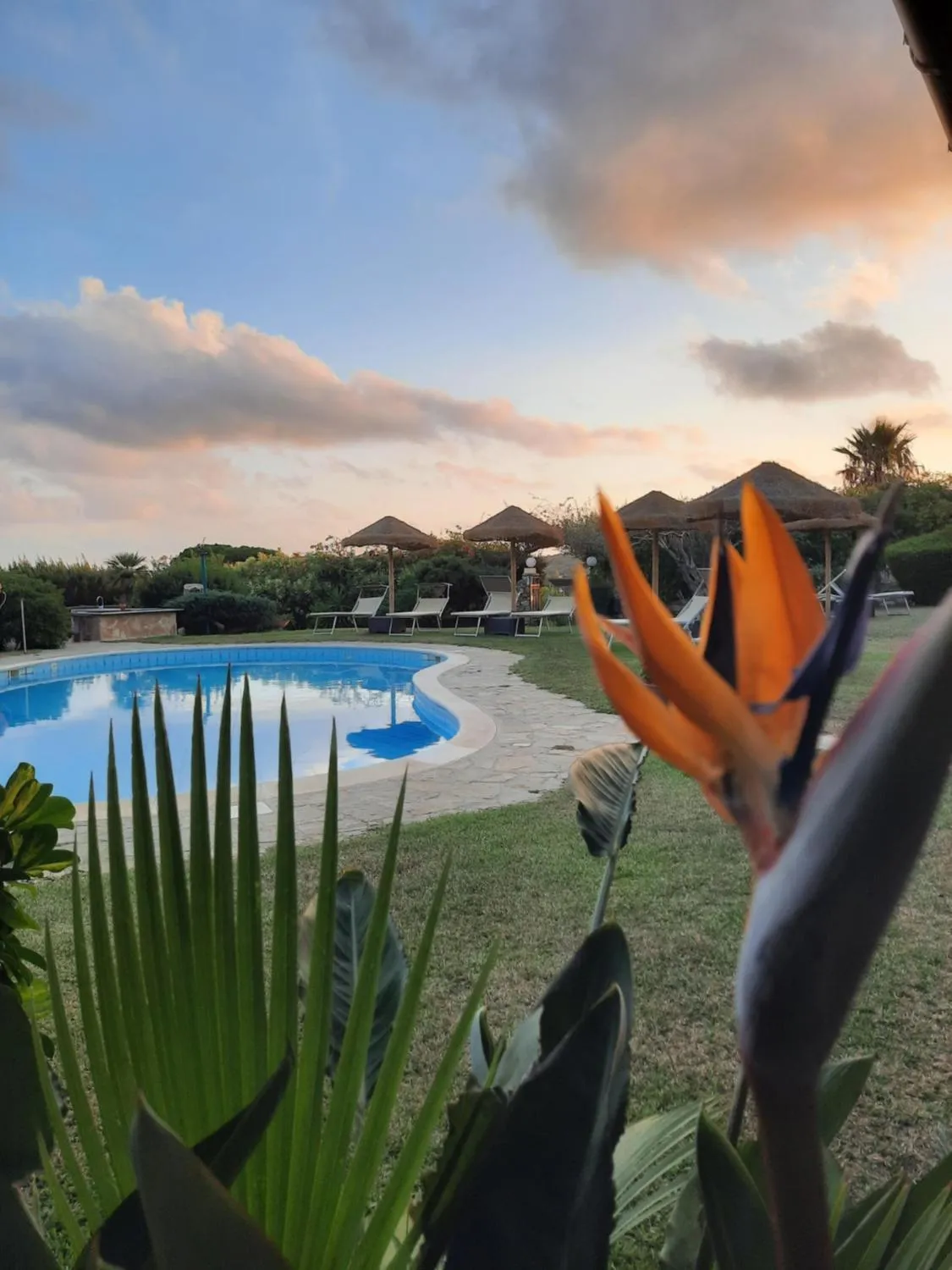 Garden in Residence Le Bouganville