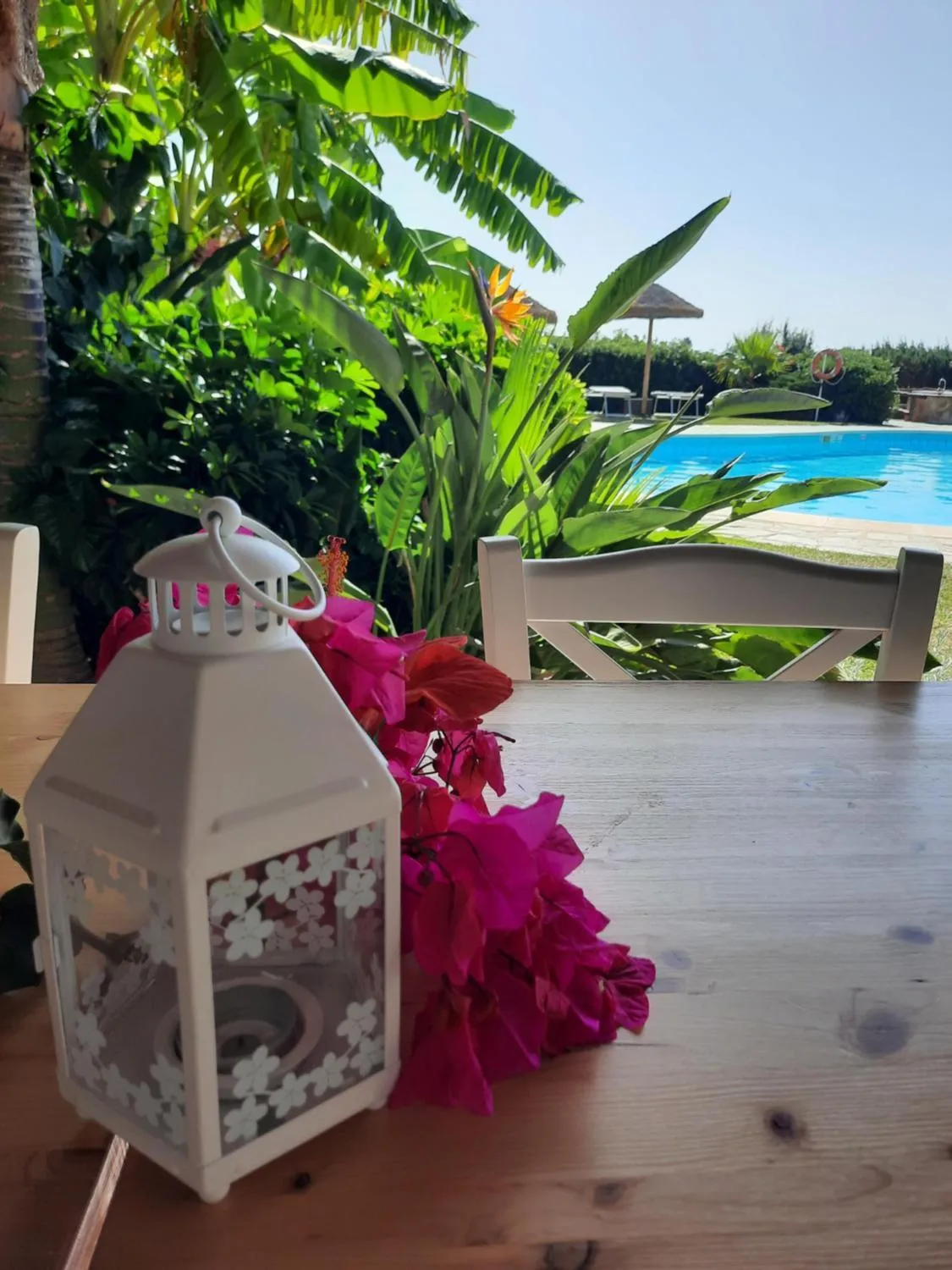 Restaurant/places to eat in Residence Le Bouganville