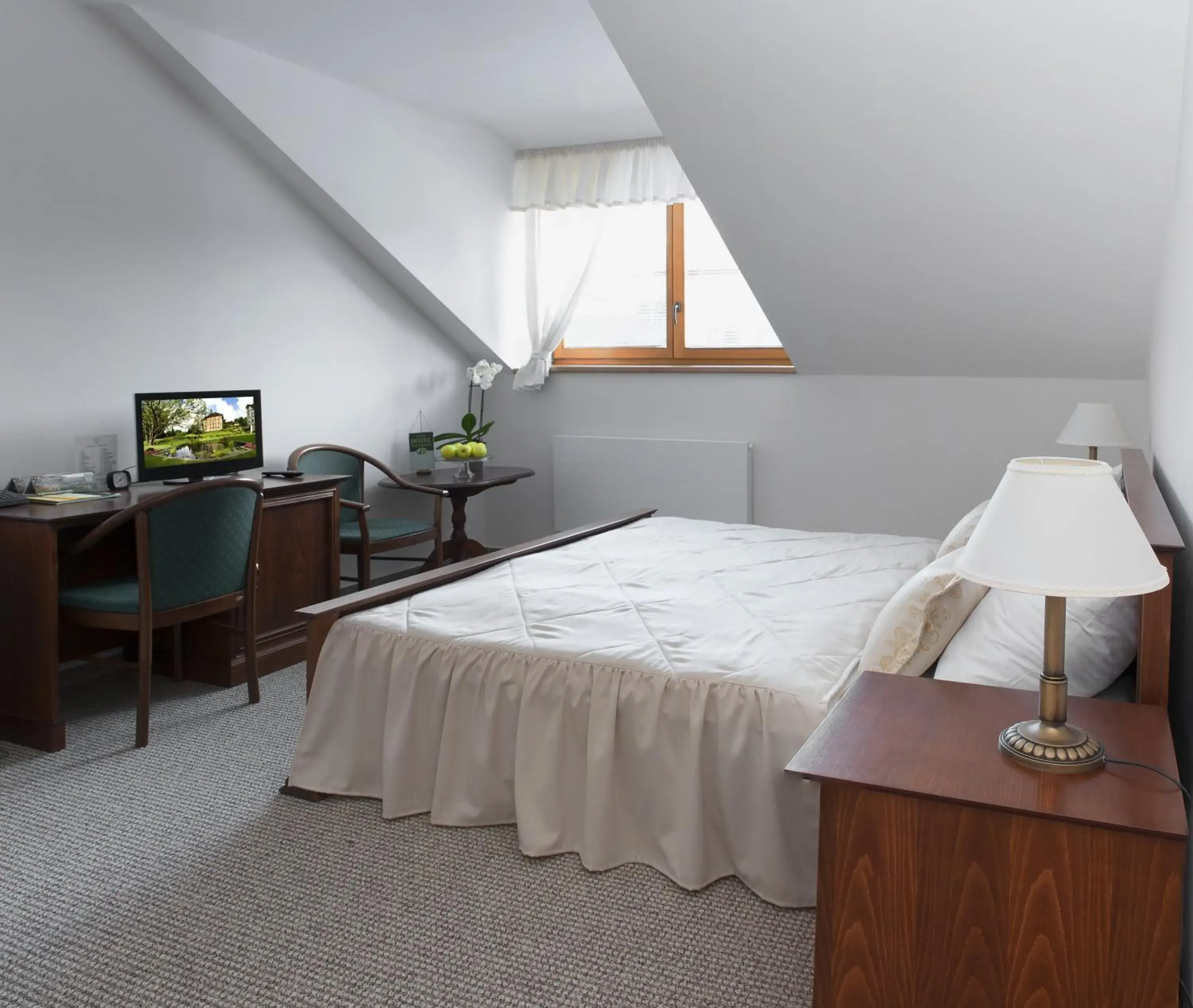 Double Room in Hotel Pod Zamkem Double Room in Hotel Pod Zamkem