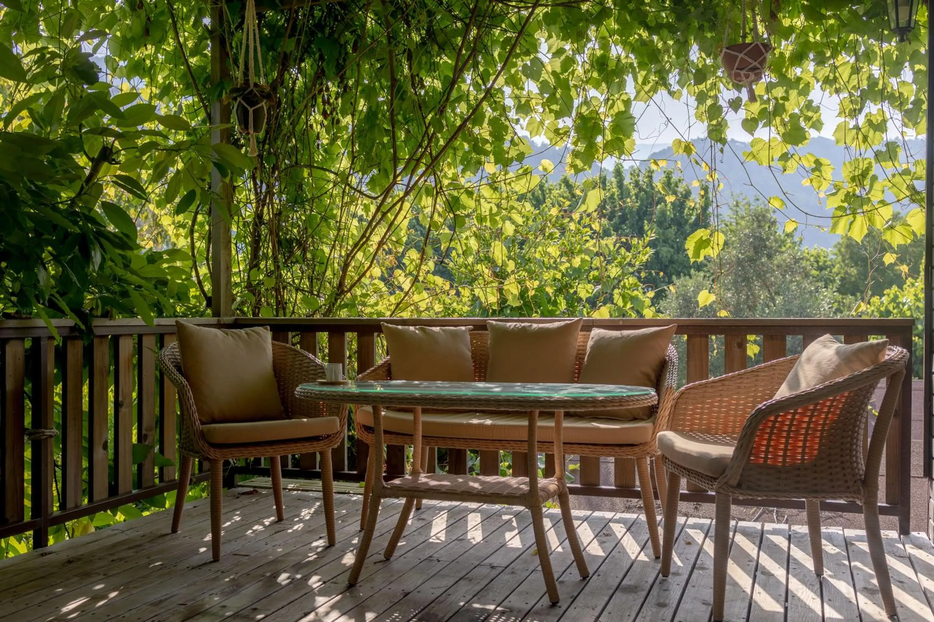 Garden in Caretta Caretta Pension
