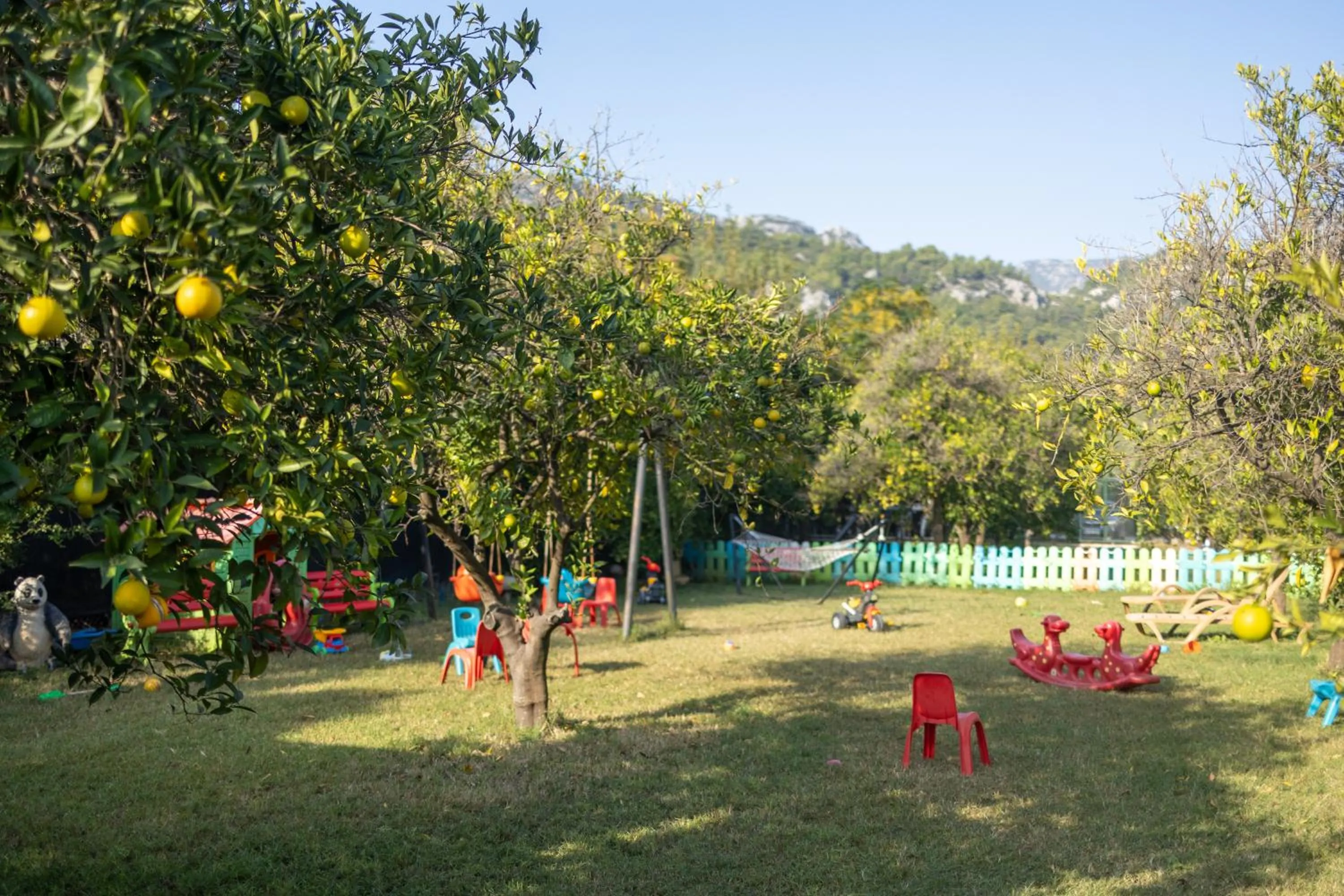 Natural landscape in Caretta Caretta Pension