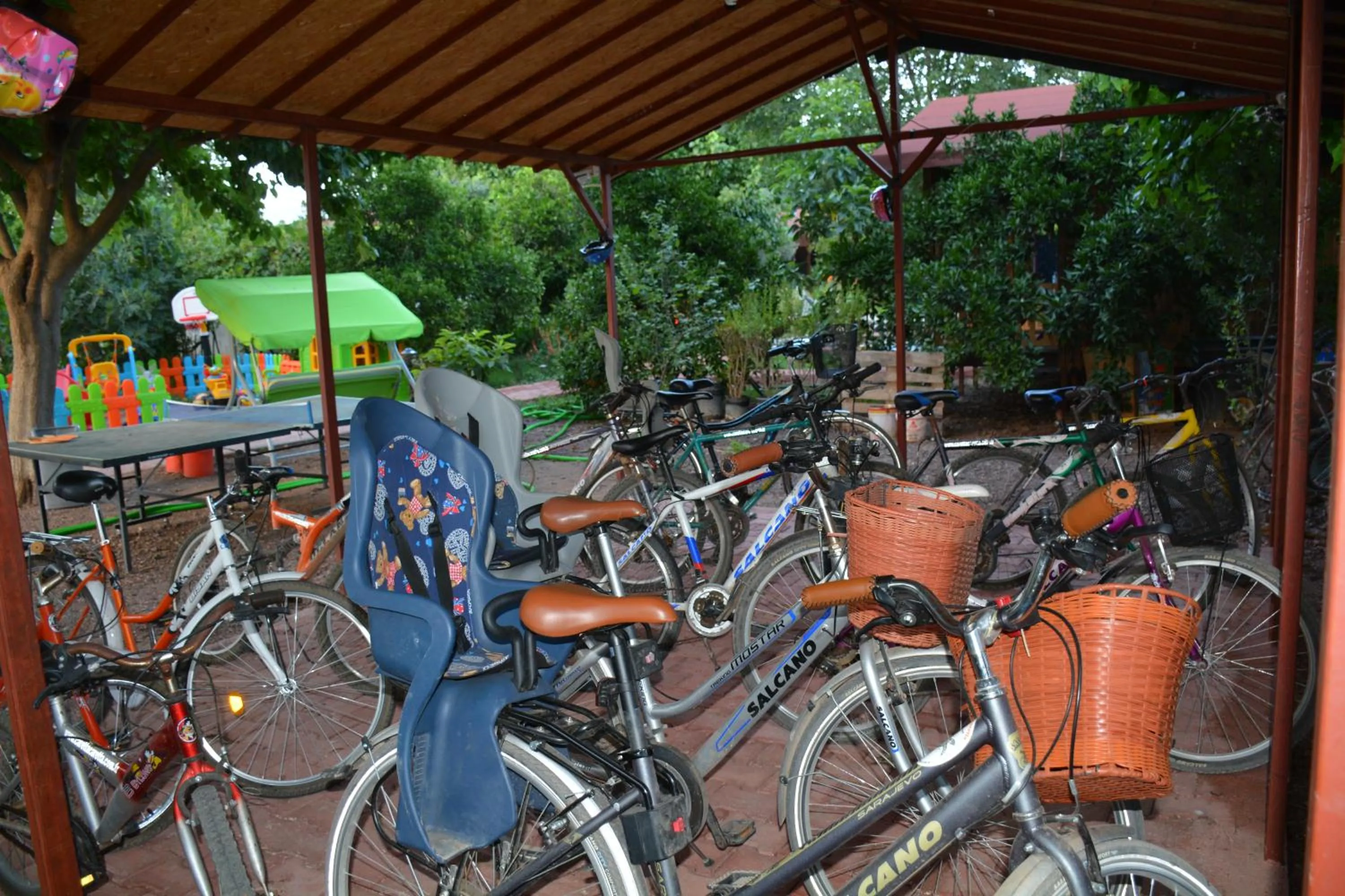 Cycling in Caretta Caretta Pension