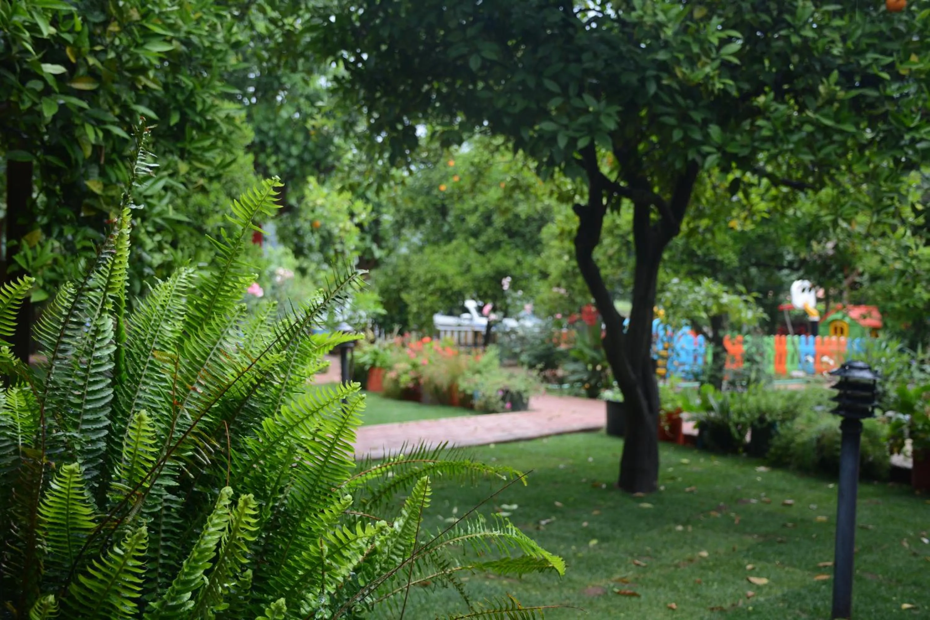 Garden in Caretta Caretta Pension