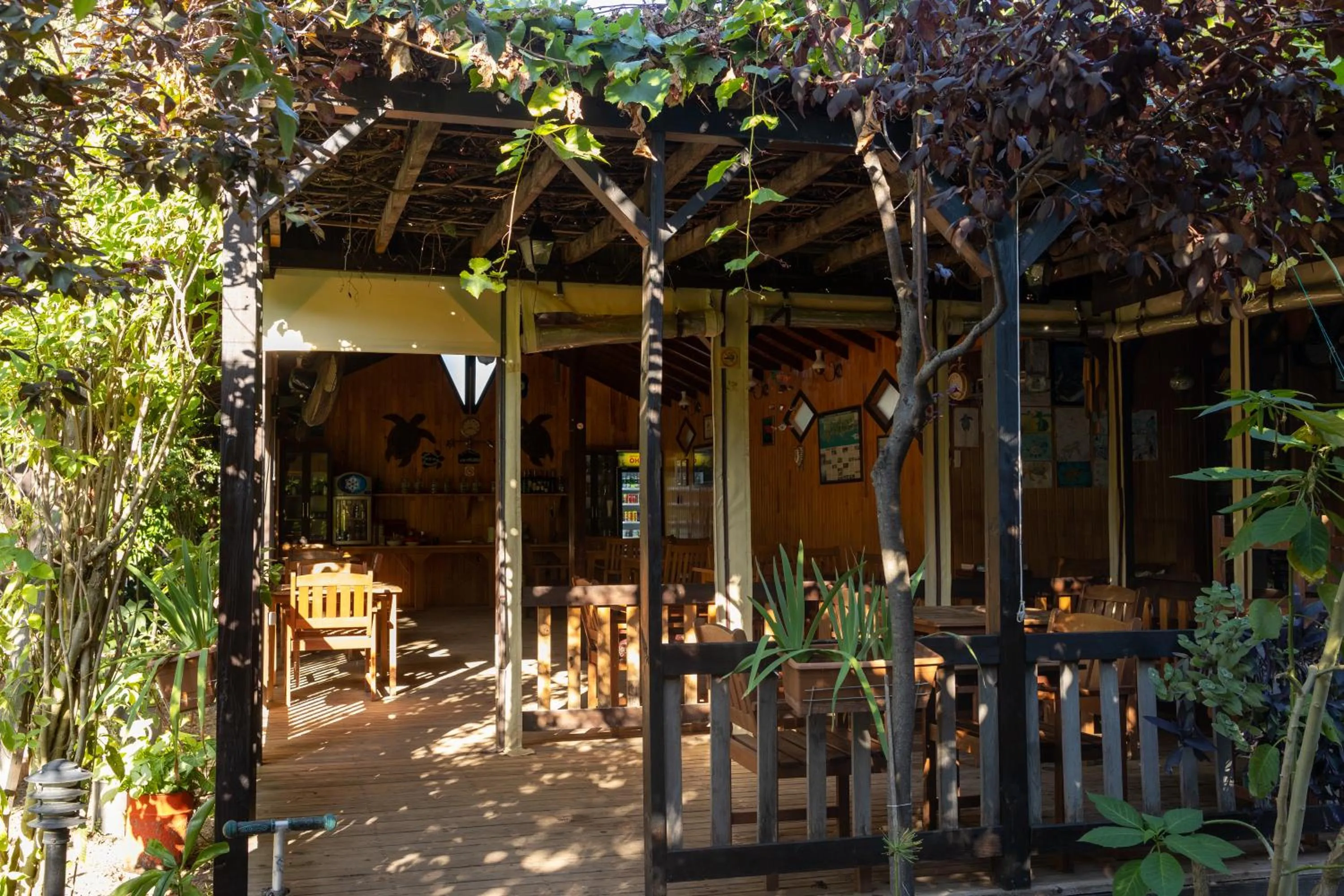 Restaurant/places to eat in Caretta Caretta Pension