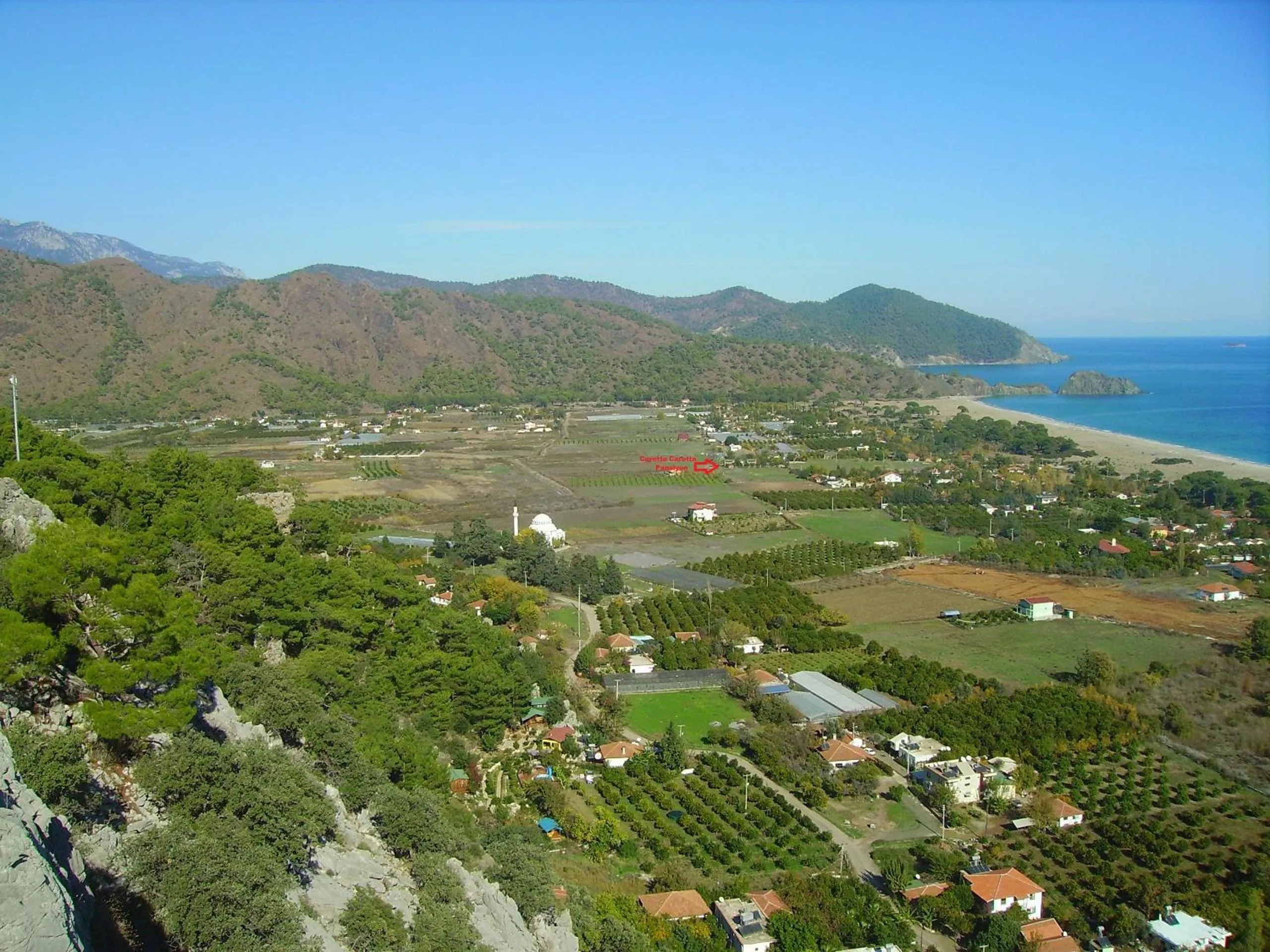 Neighbourhood in Caretta Caretta Pension