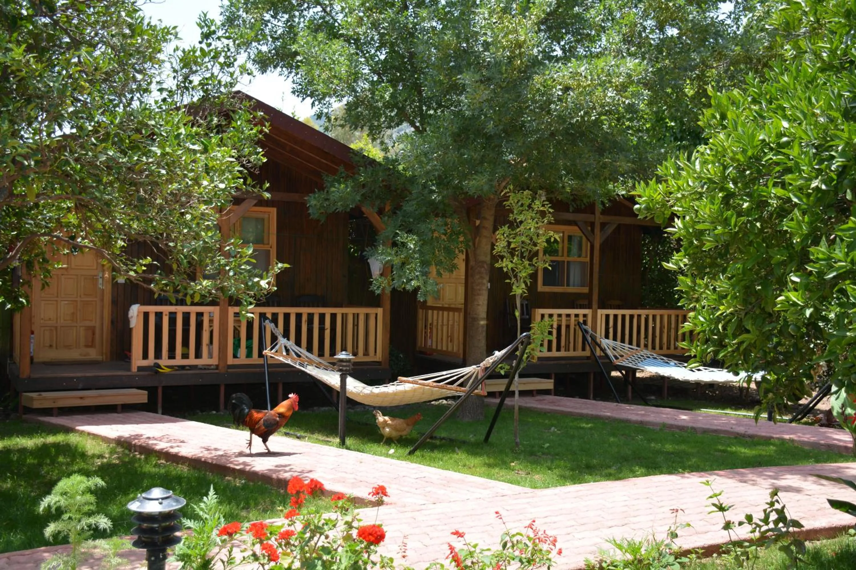 Garden in Caretta Caretta Pension