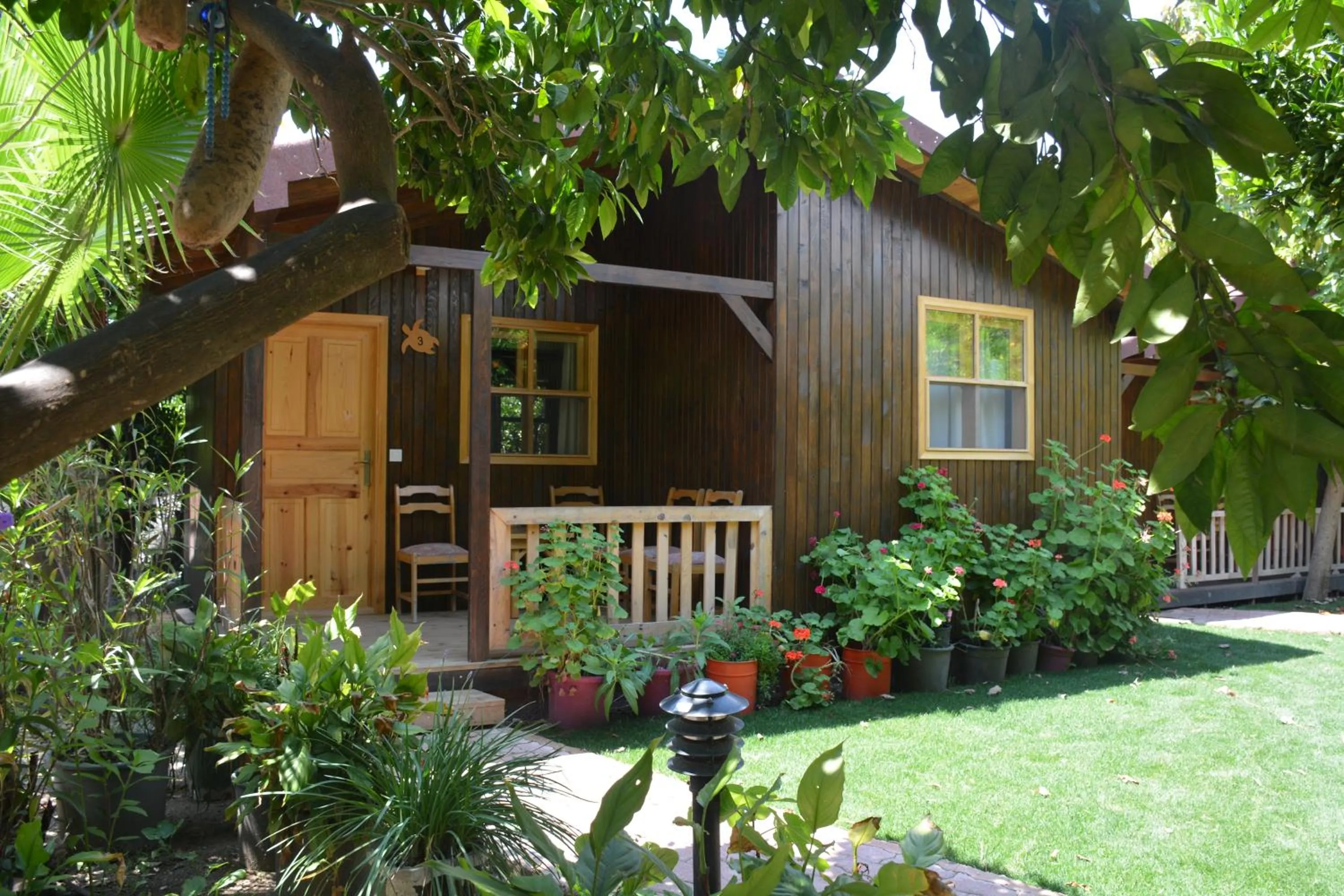 Garden in Caretta Caretta Pension