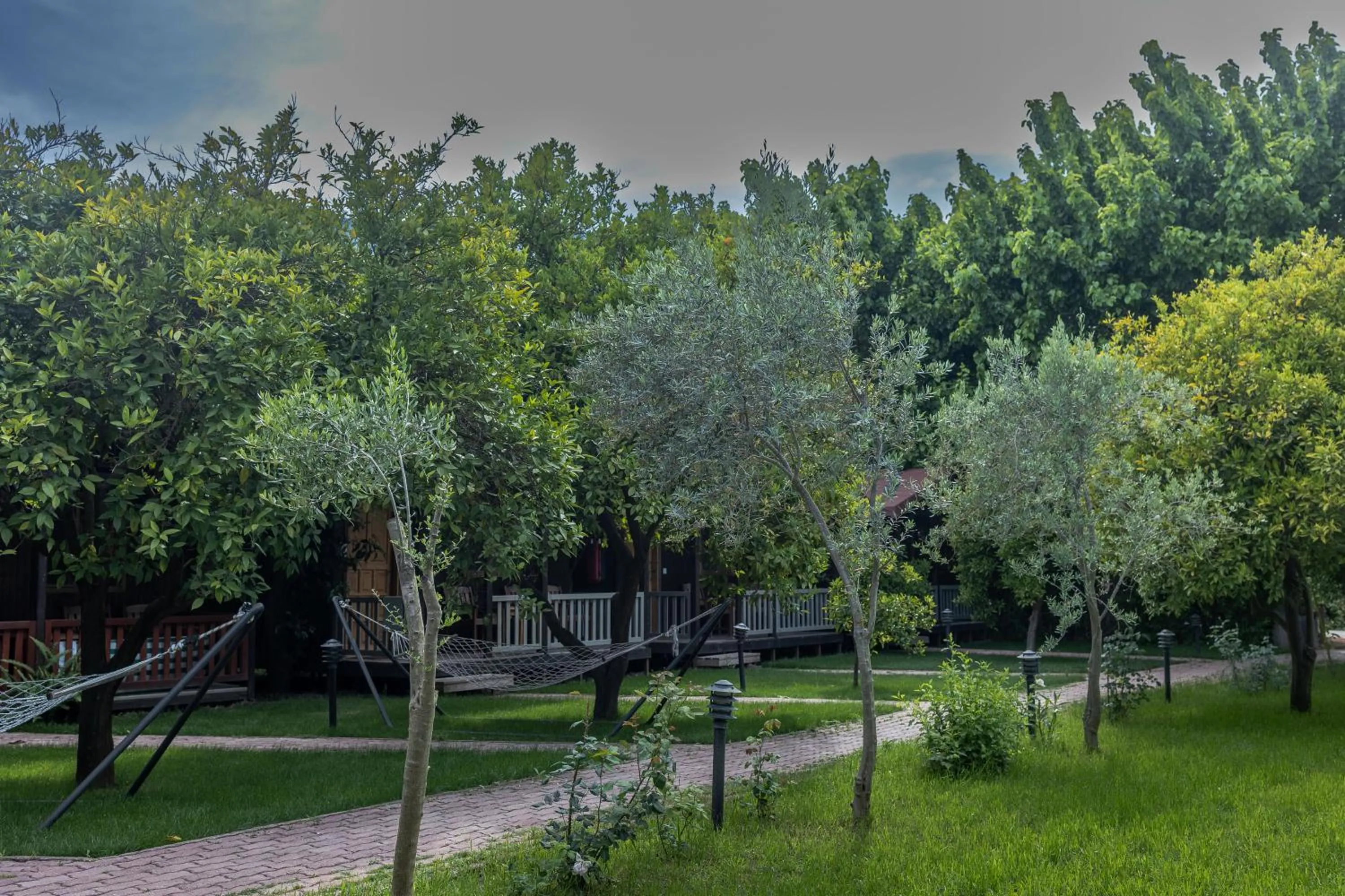 Garden in Caretta Caretta Pension