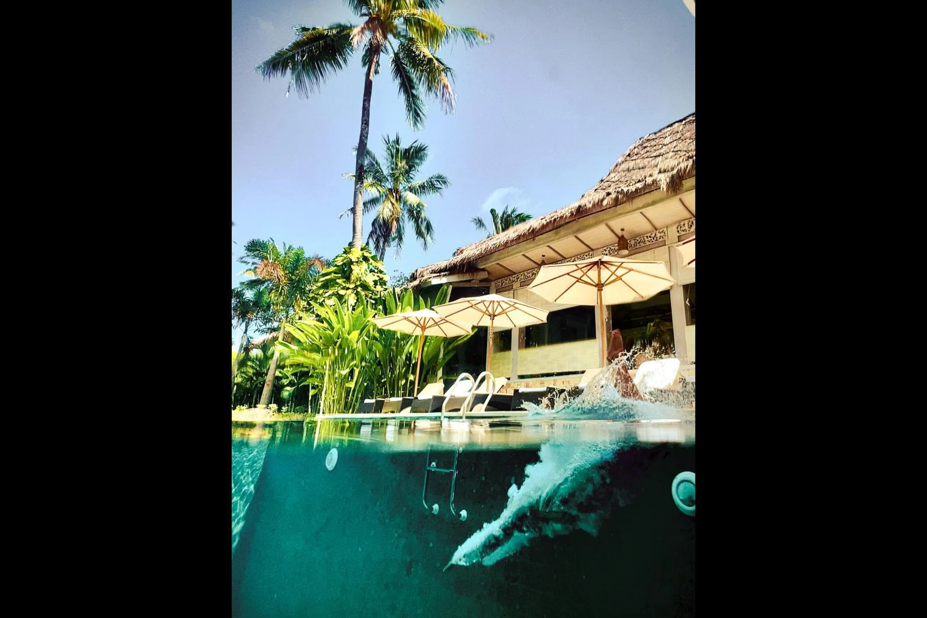 Swimming pool in Rascals Hotel - Adults Only