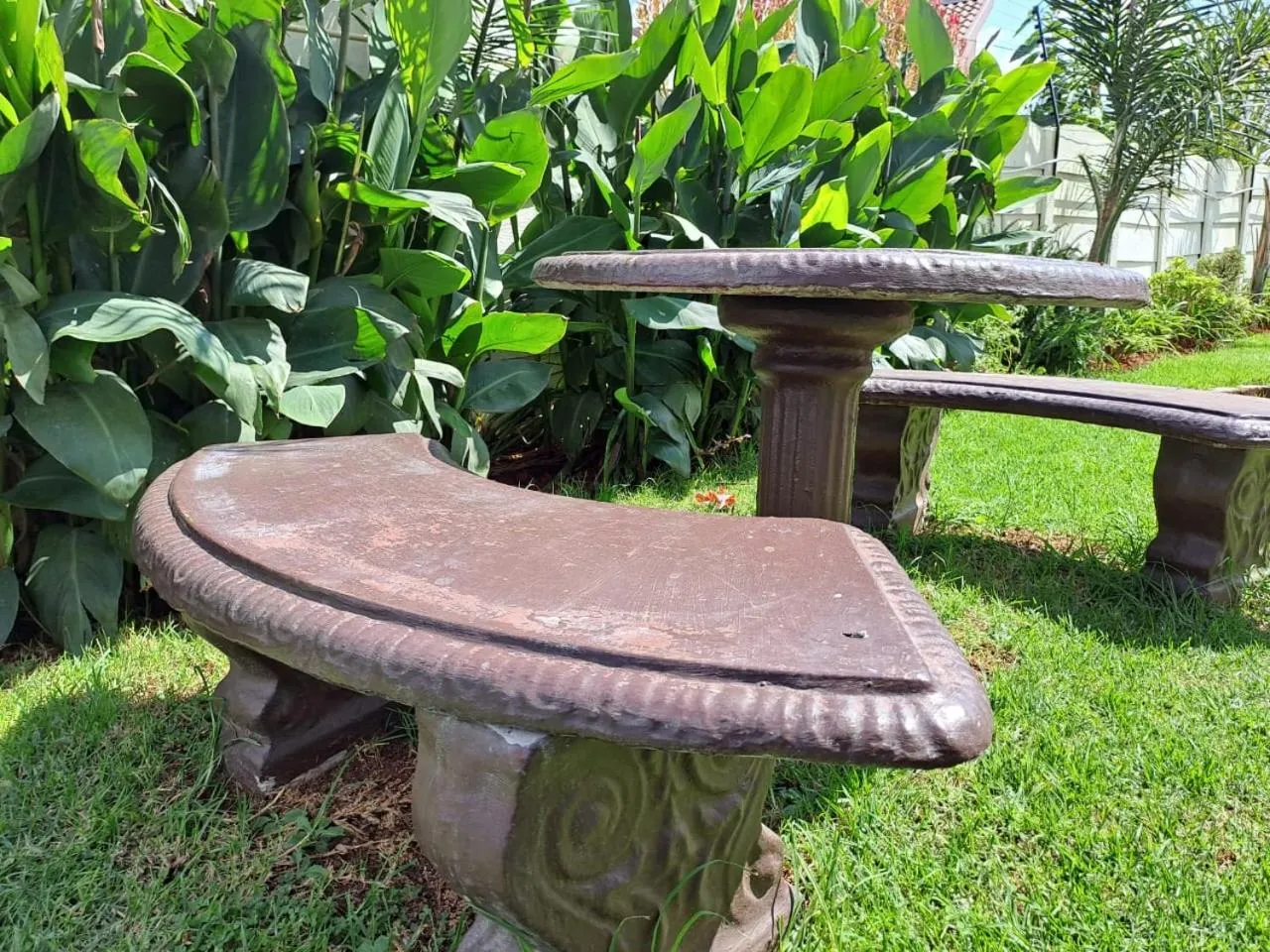 Garden in Ecotel OR Tambo Airport