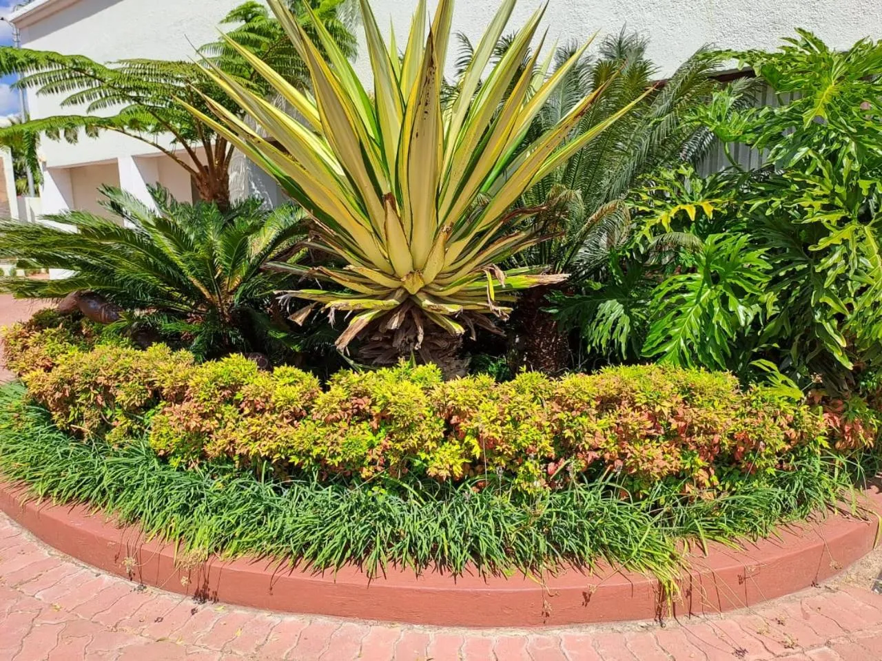 Garden in Ecotel OR Tambo Airport