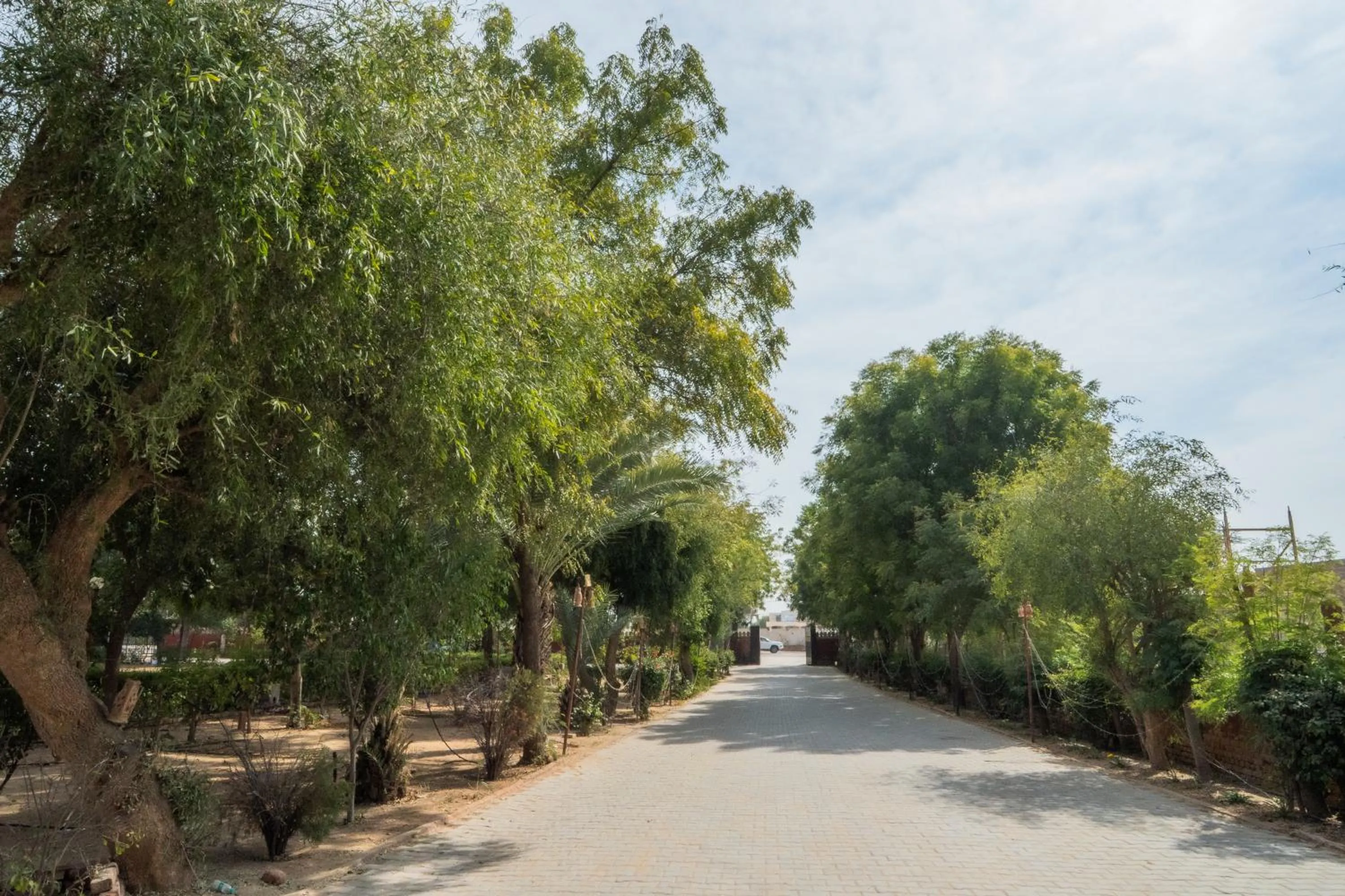 Thar Exotica Hotel & Resorts In Bikaner