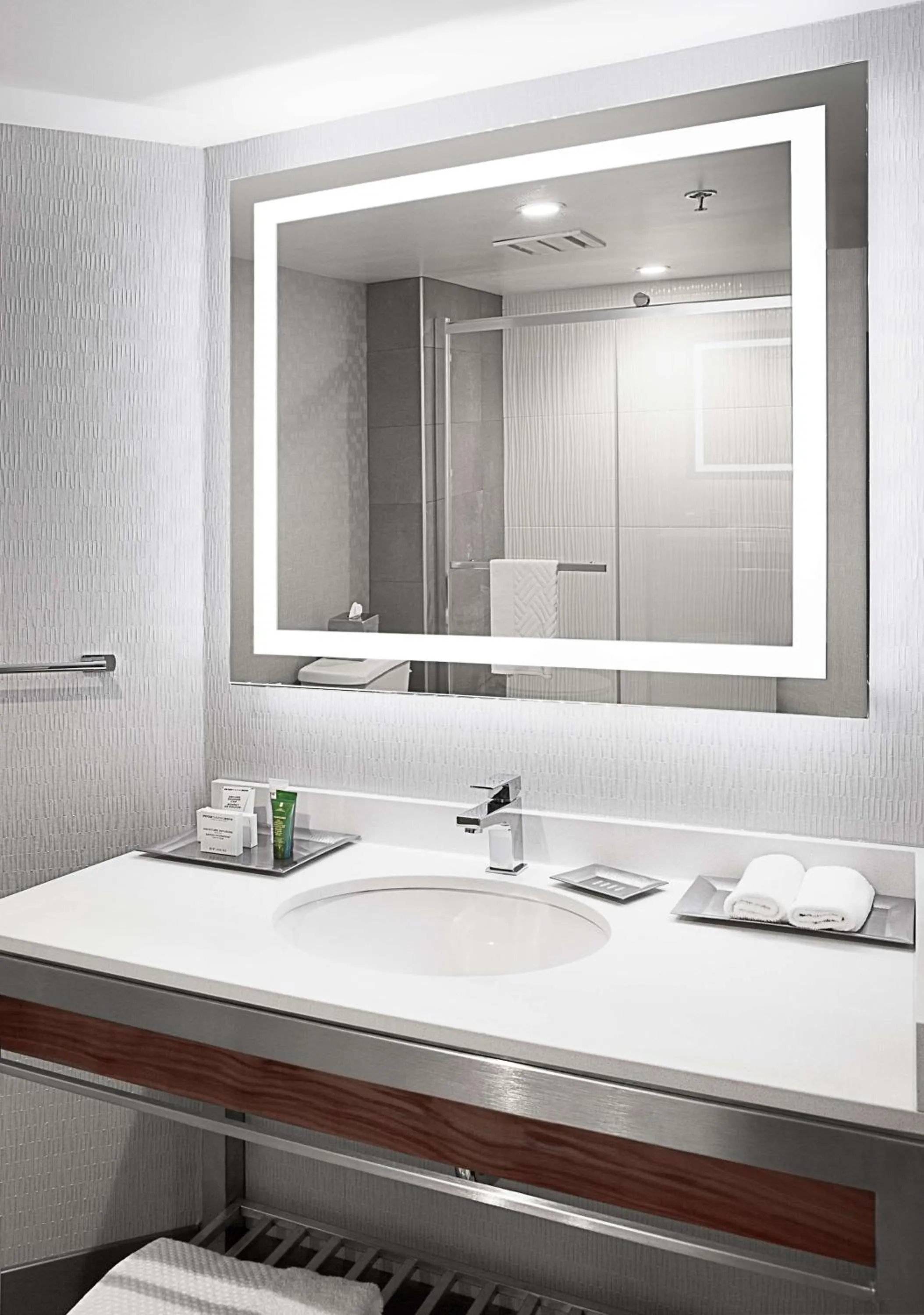 Shower in Hilton Montreal/Laval