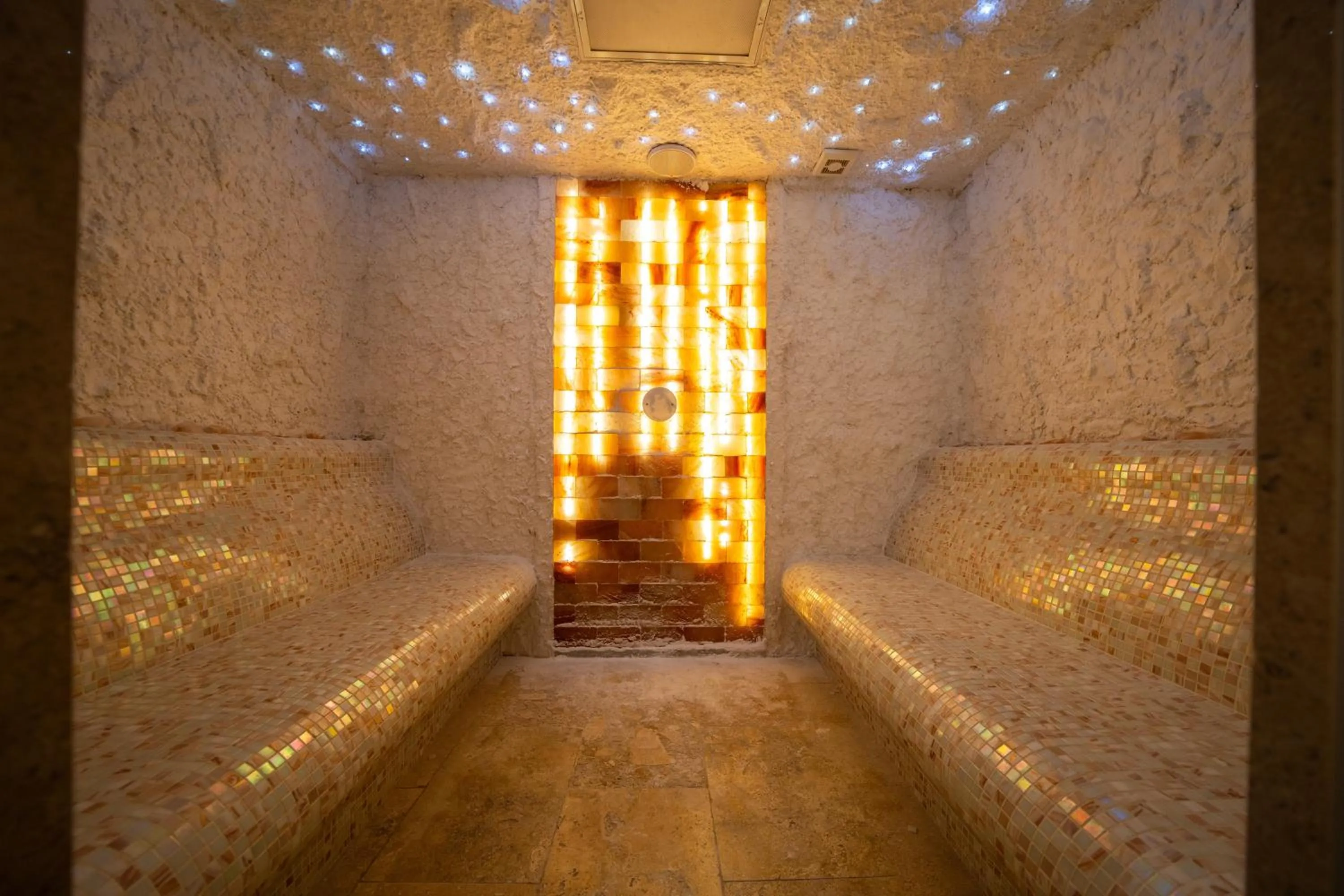 Spa and wellness centre/facilities in Hotel Alexandar Lux