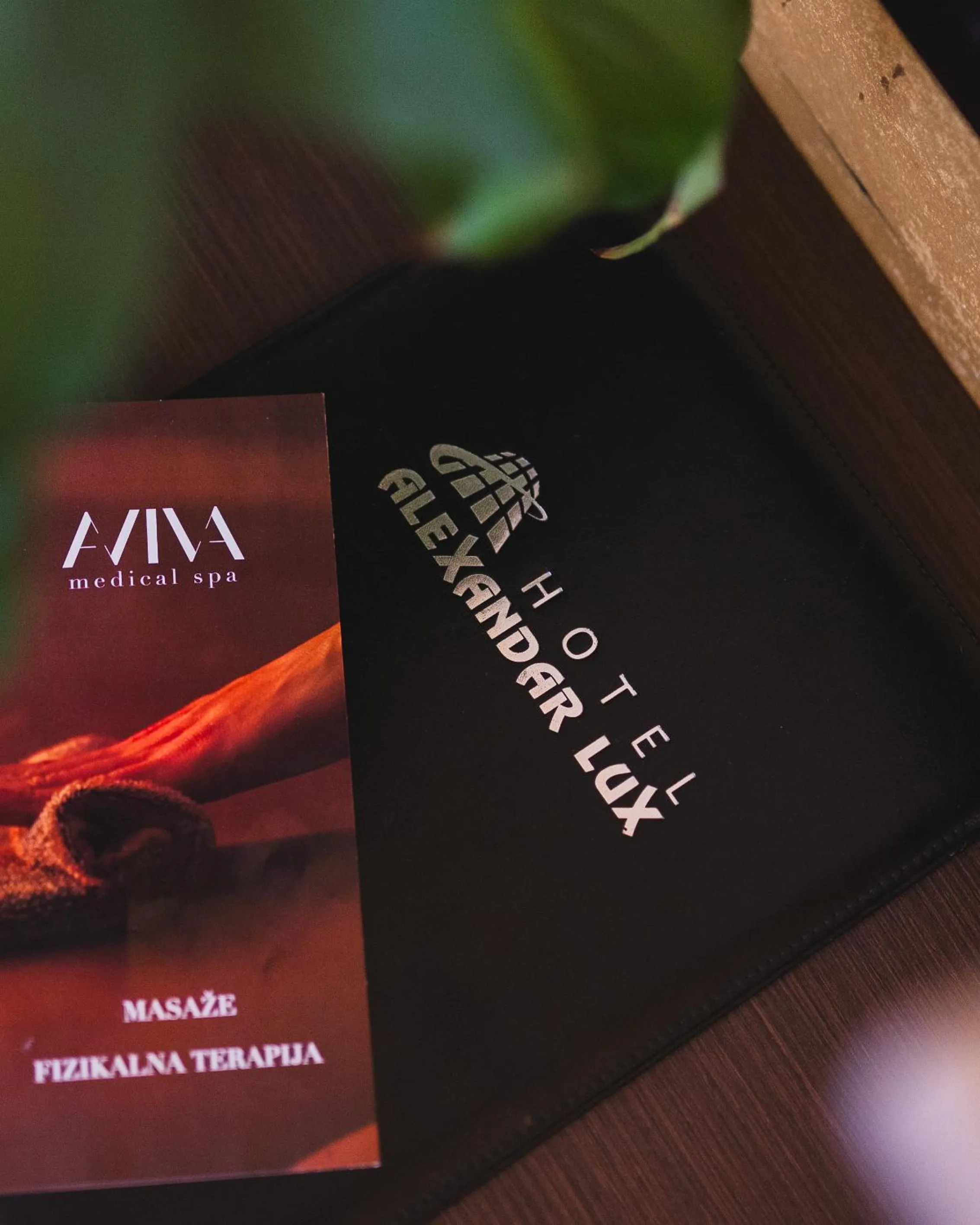 Decorative detail in Hotel Alexandar Lux